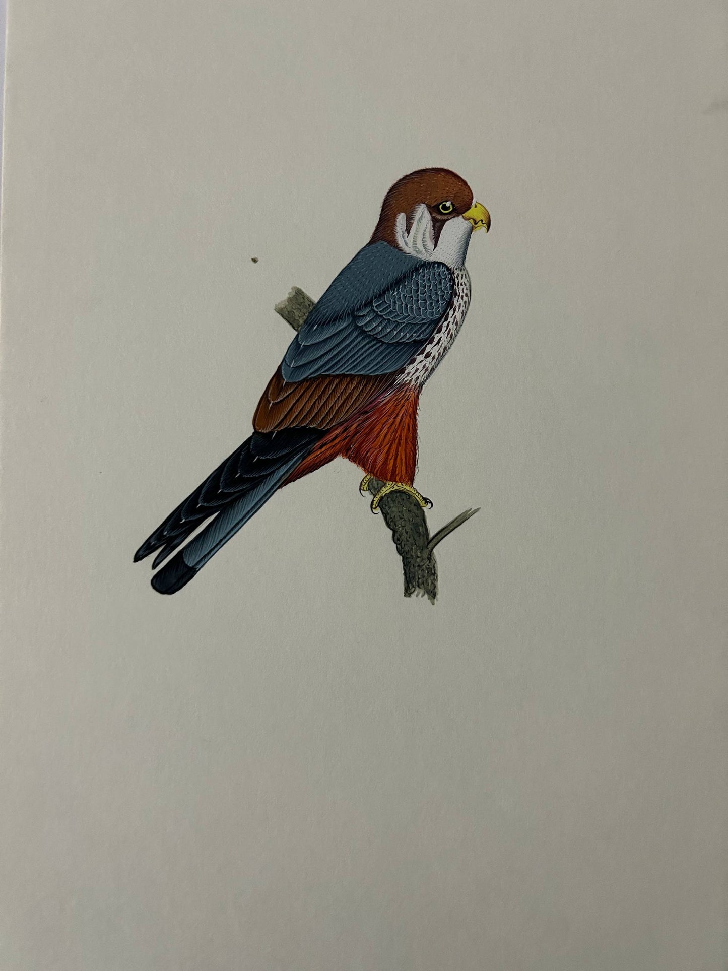 Ani al painting