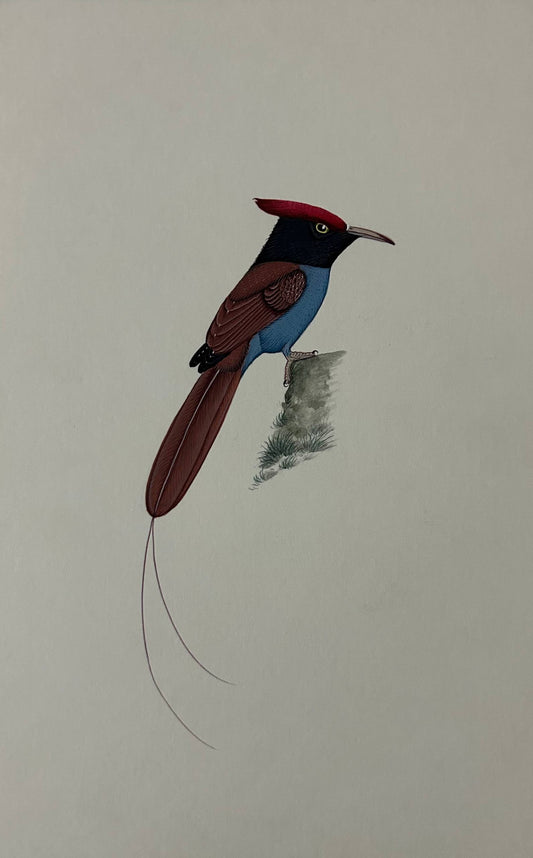 Animal painting