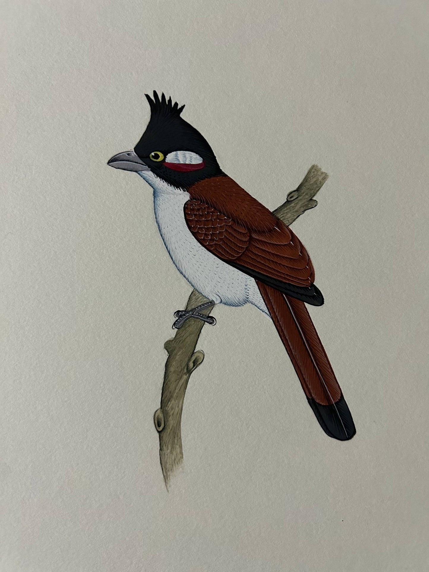 Bird painting