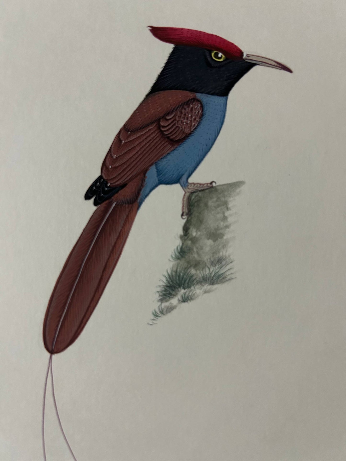 Animal painting