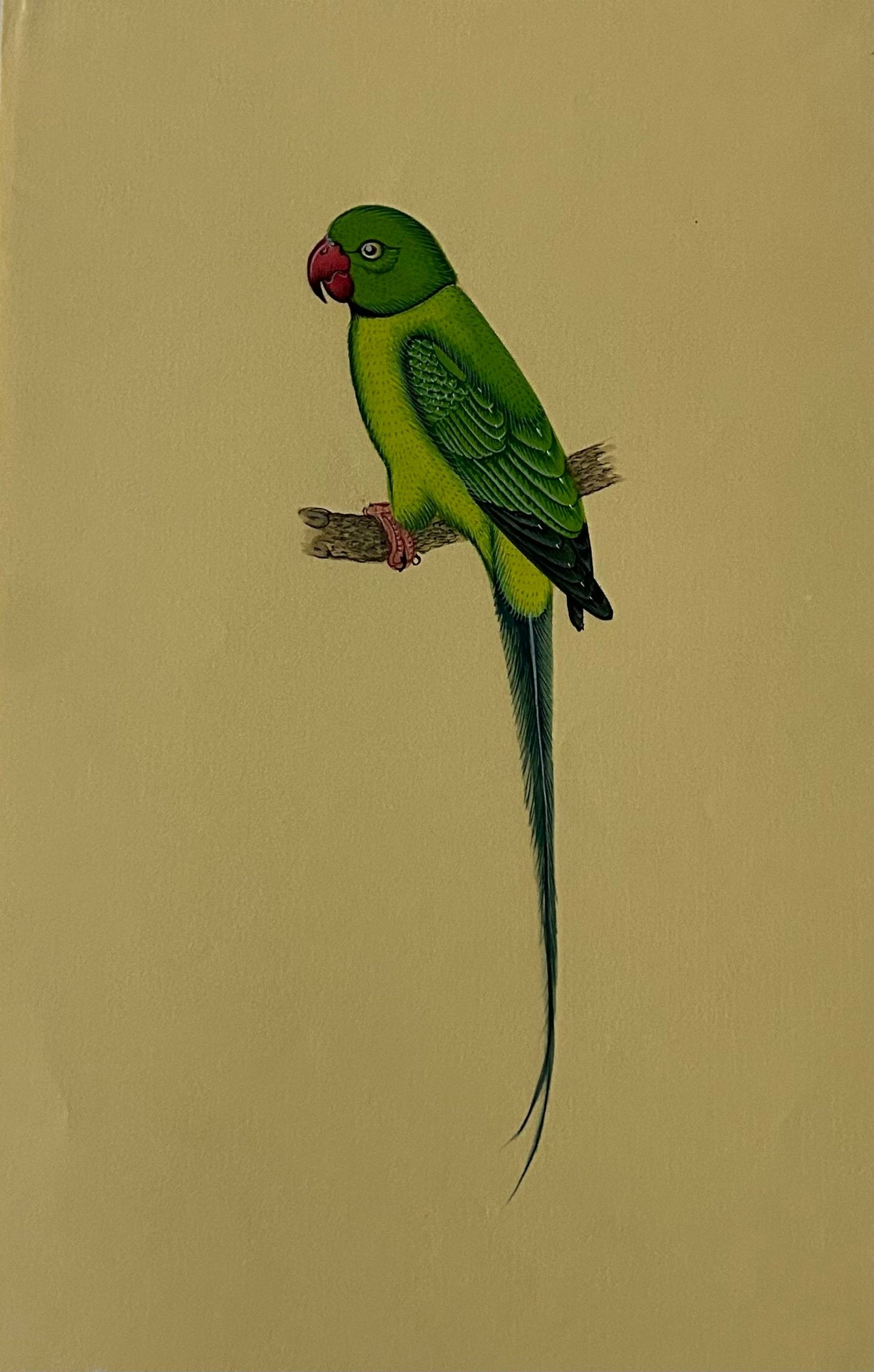 Animal painting