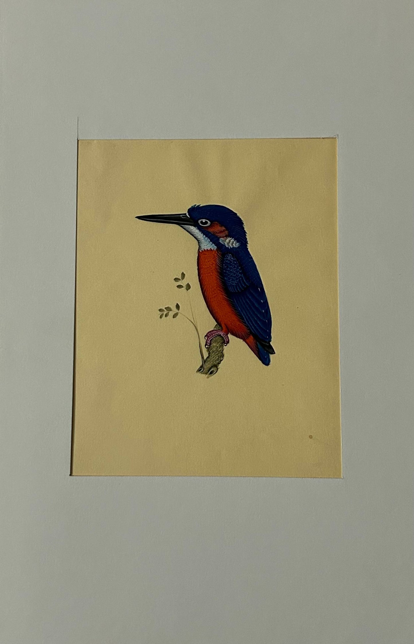 Animal painting