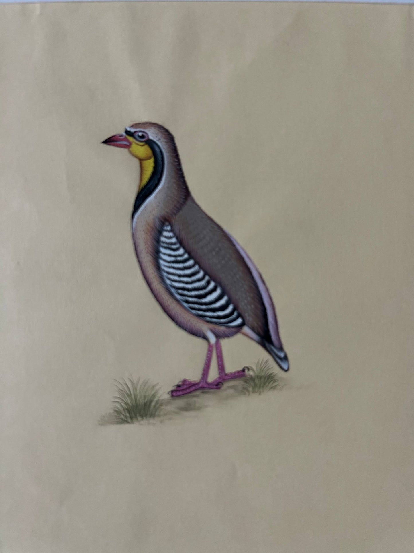 Animal painting