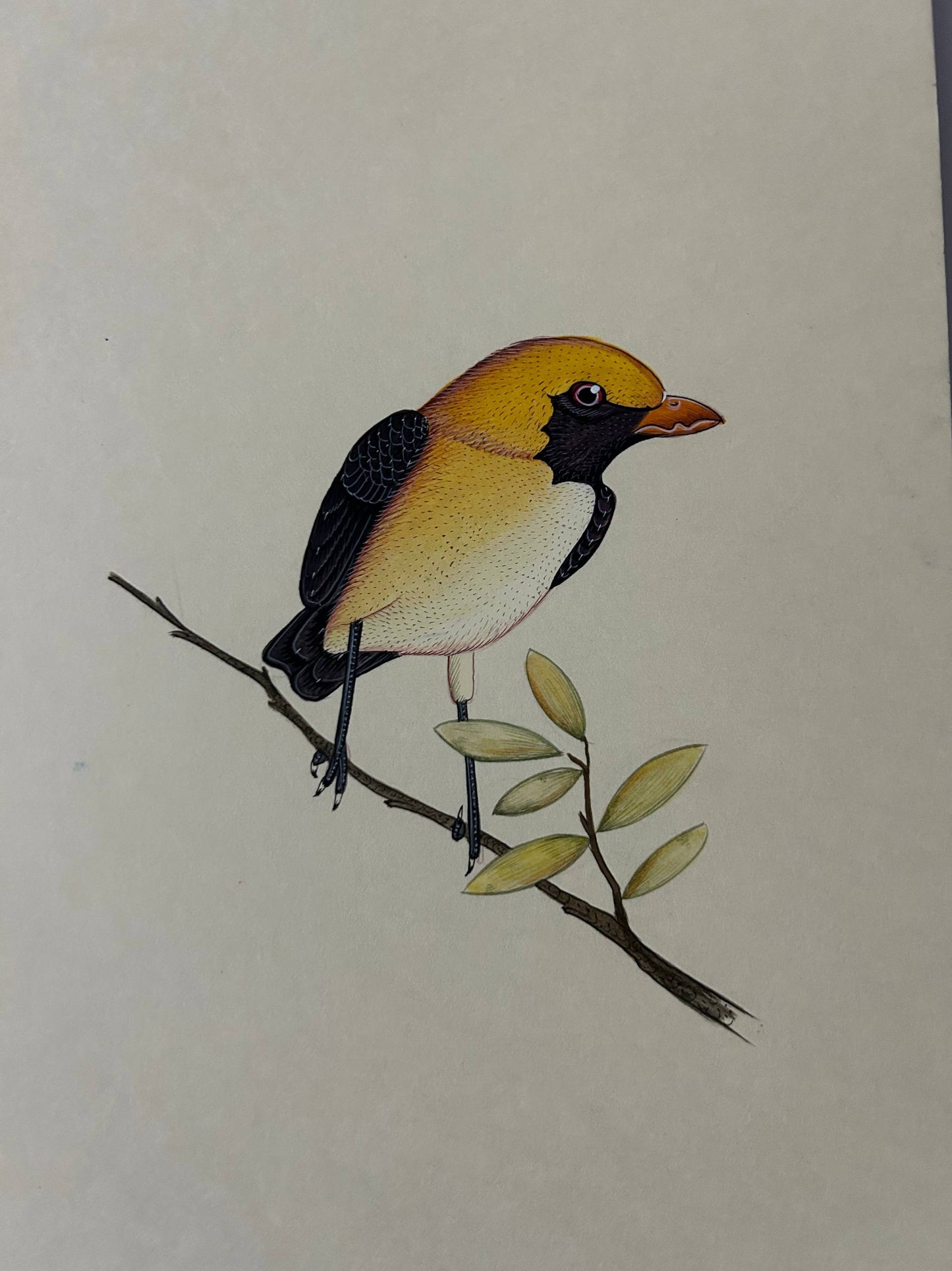 Animal painting