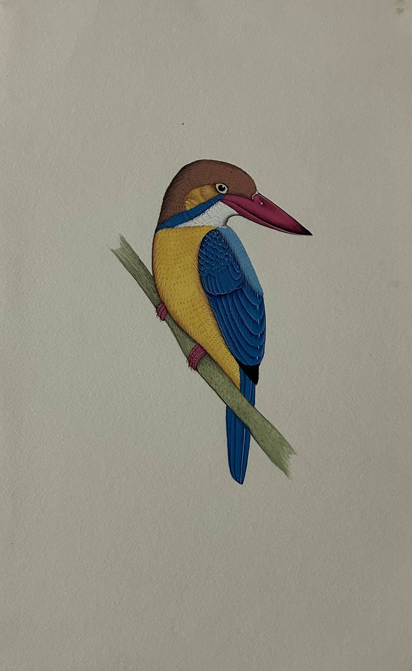 Animal painting