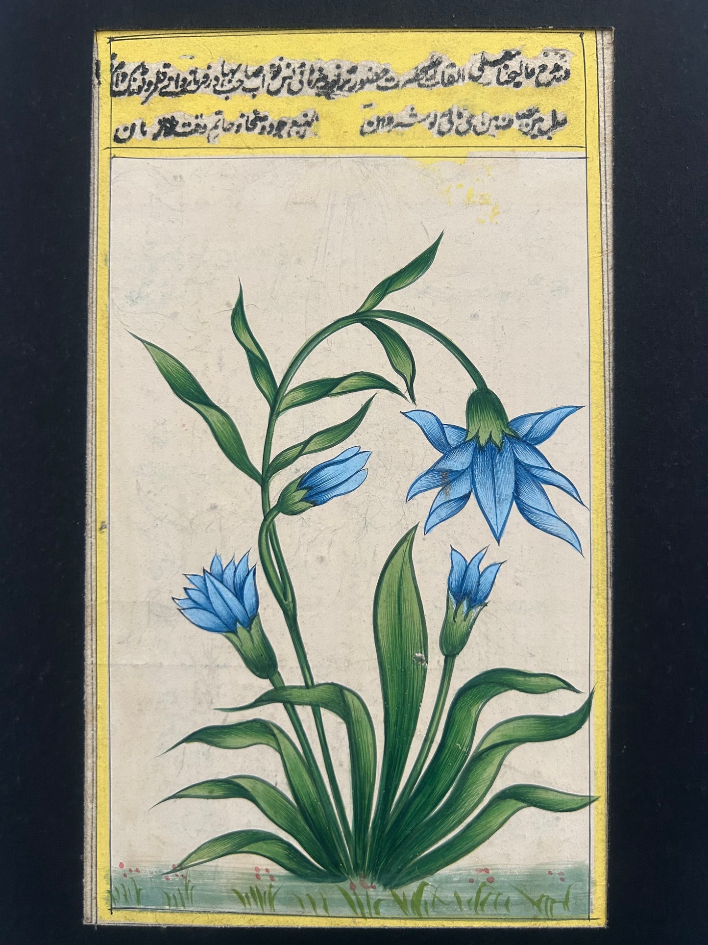 Hand-painted Miniature flowers