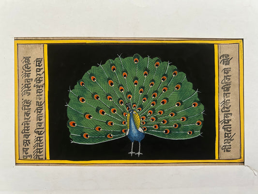 Miniature bird painting