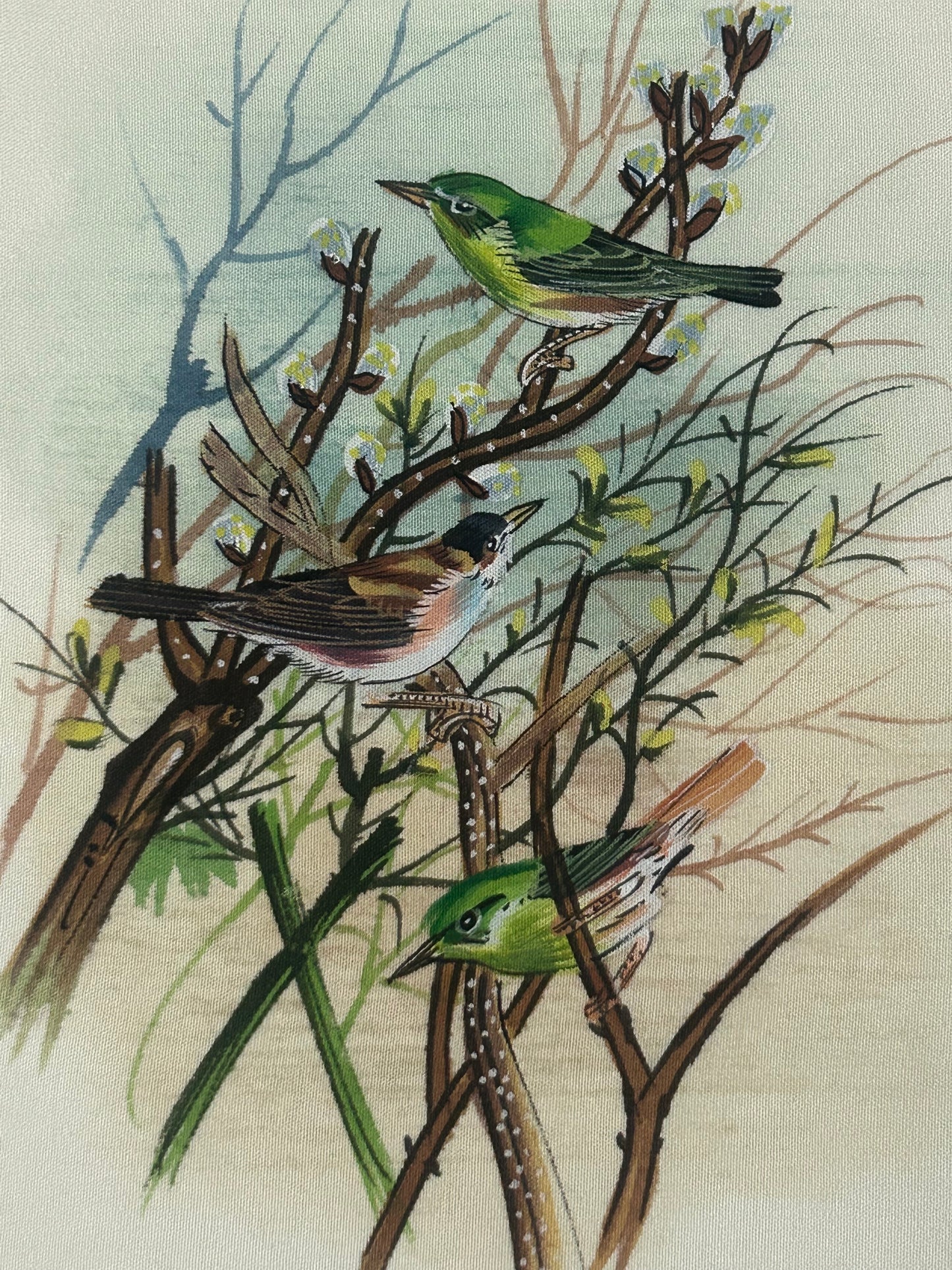 Traditional Indian bird miniature painting