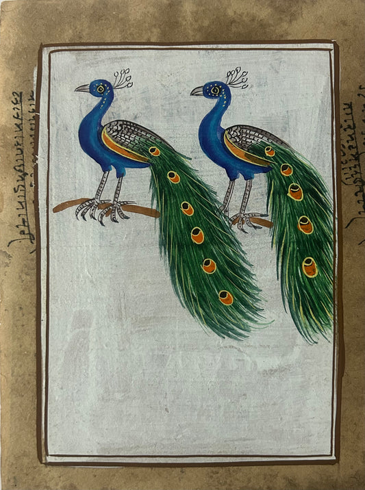 Traditional Indian bird miniature painting