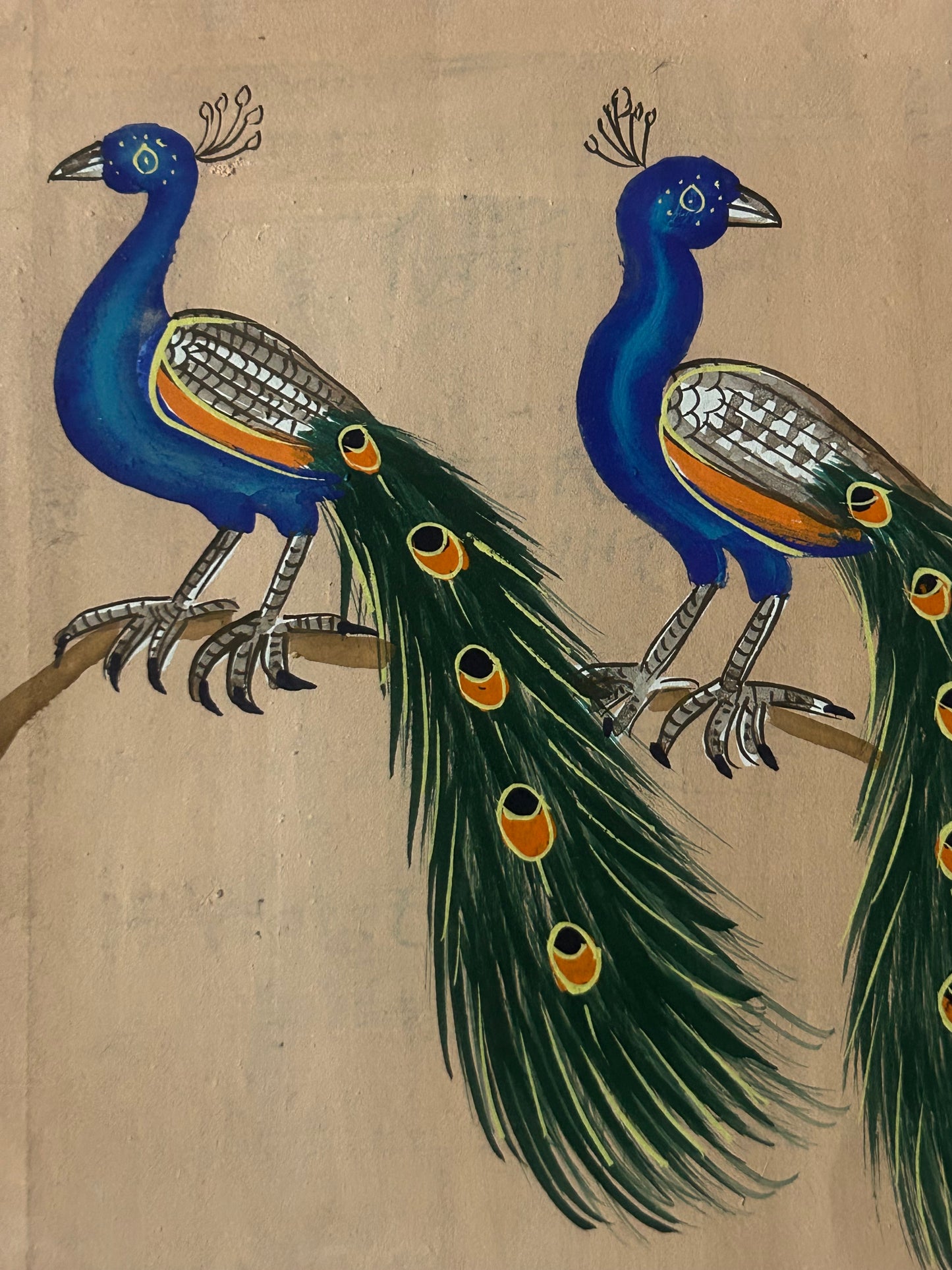 Traditional Indian bird miniature painting