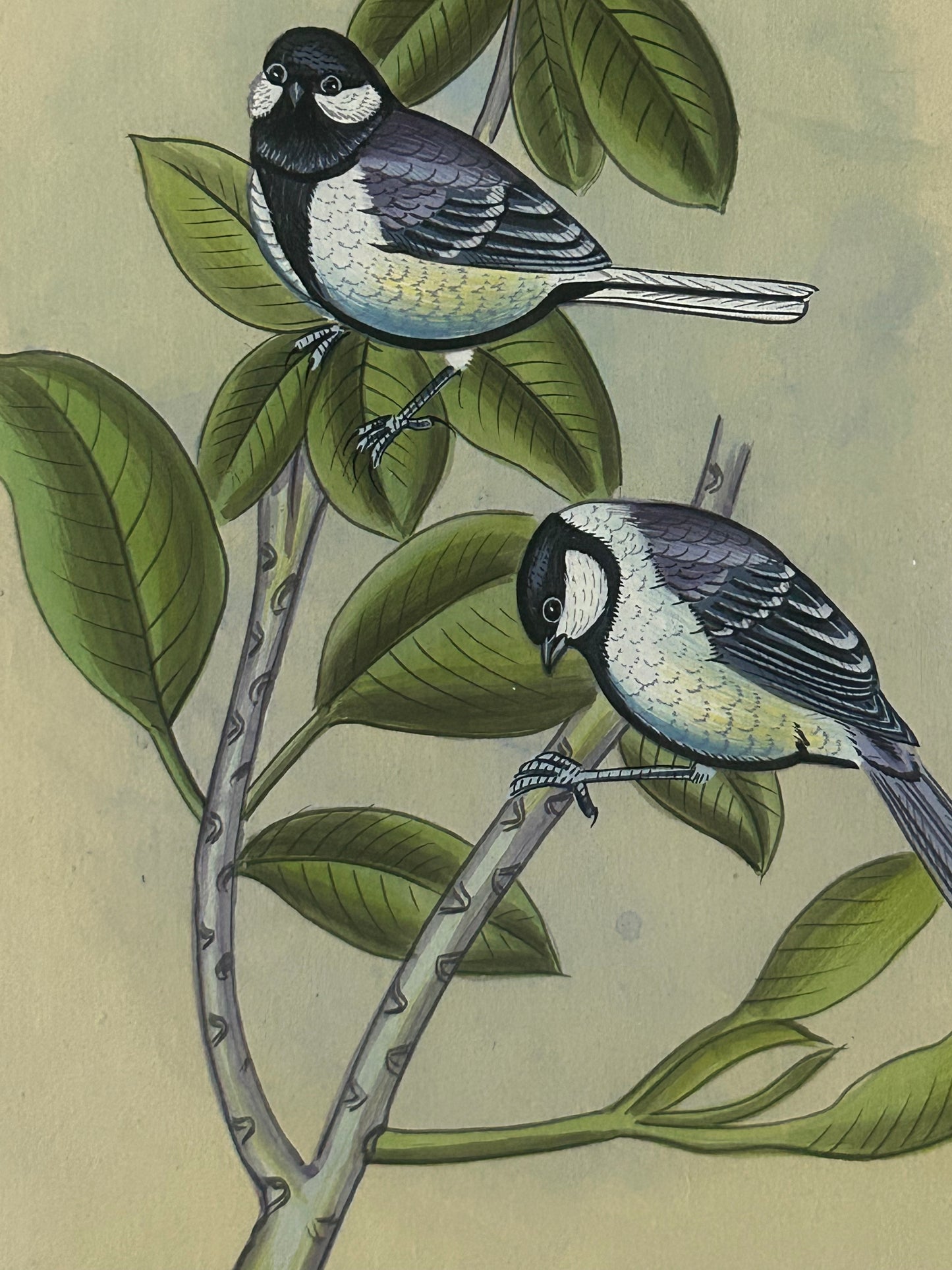 Traditional Indian bird miniature painting