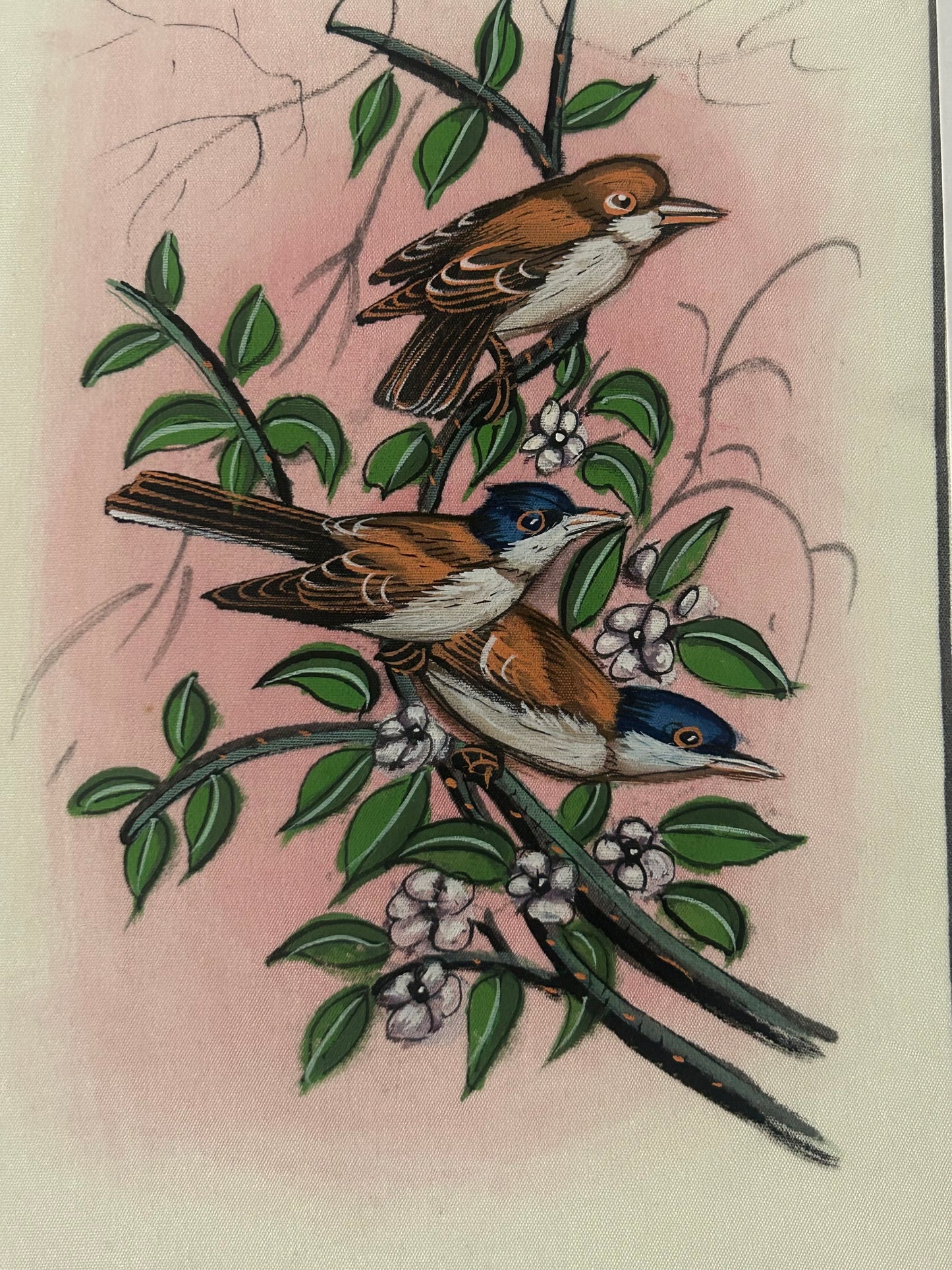 Traditional Indian bird miniature painting