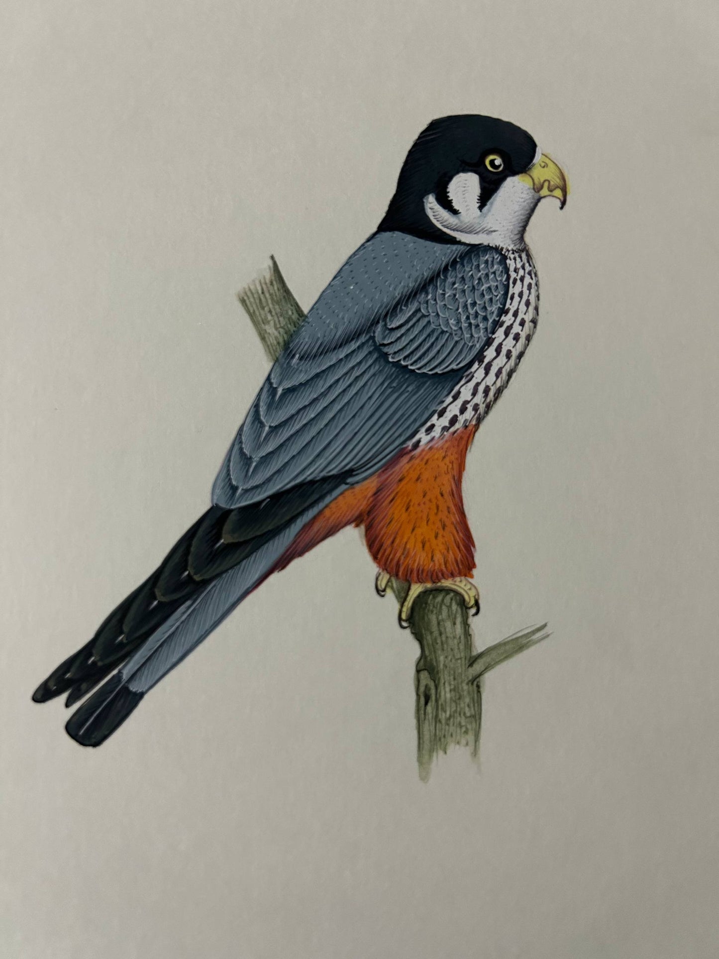 Ani al painting