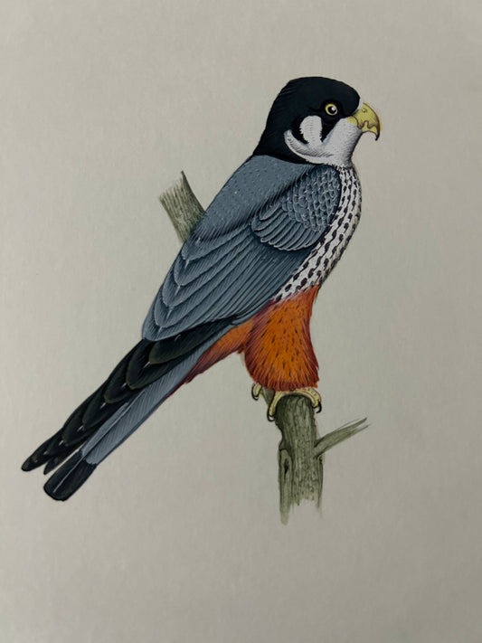 Ani al painting