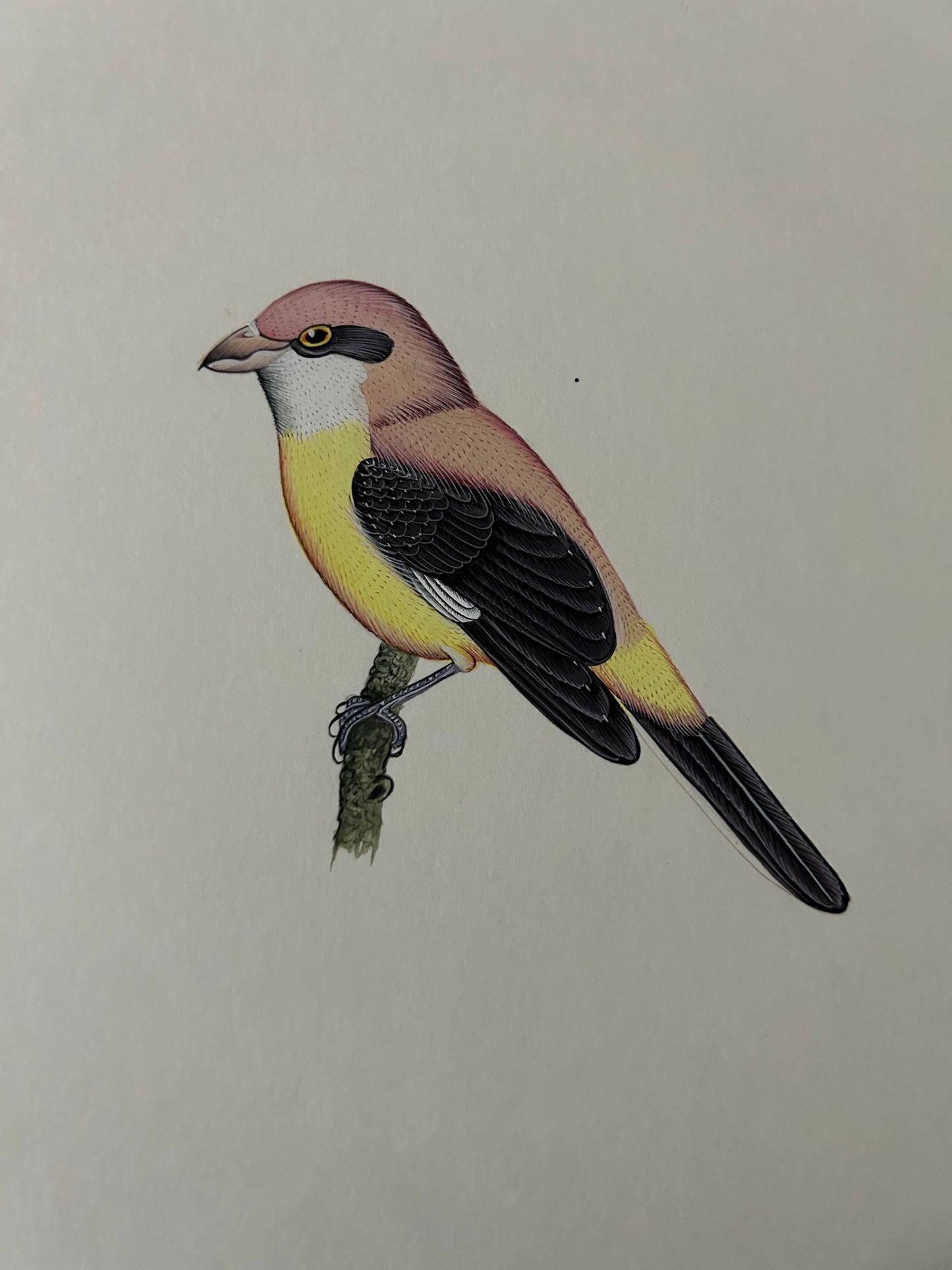 Bird painting