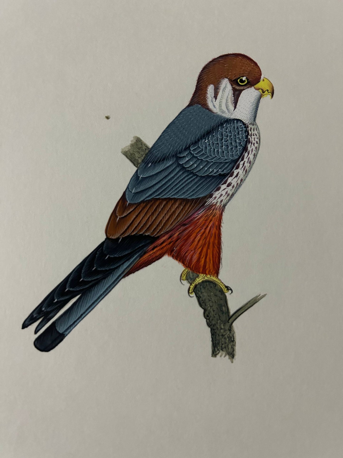 Ani al painting
