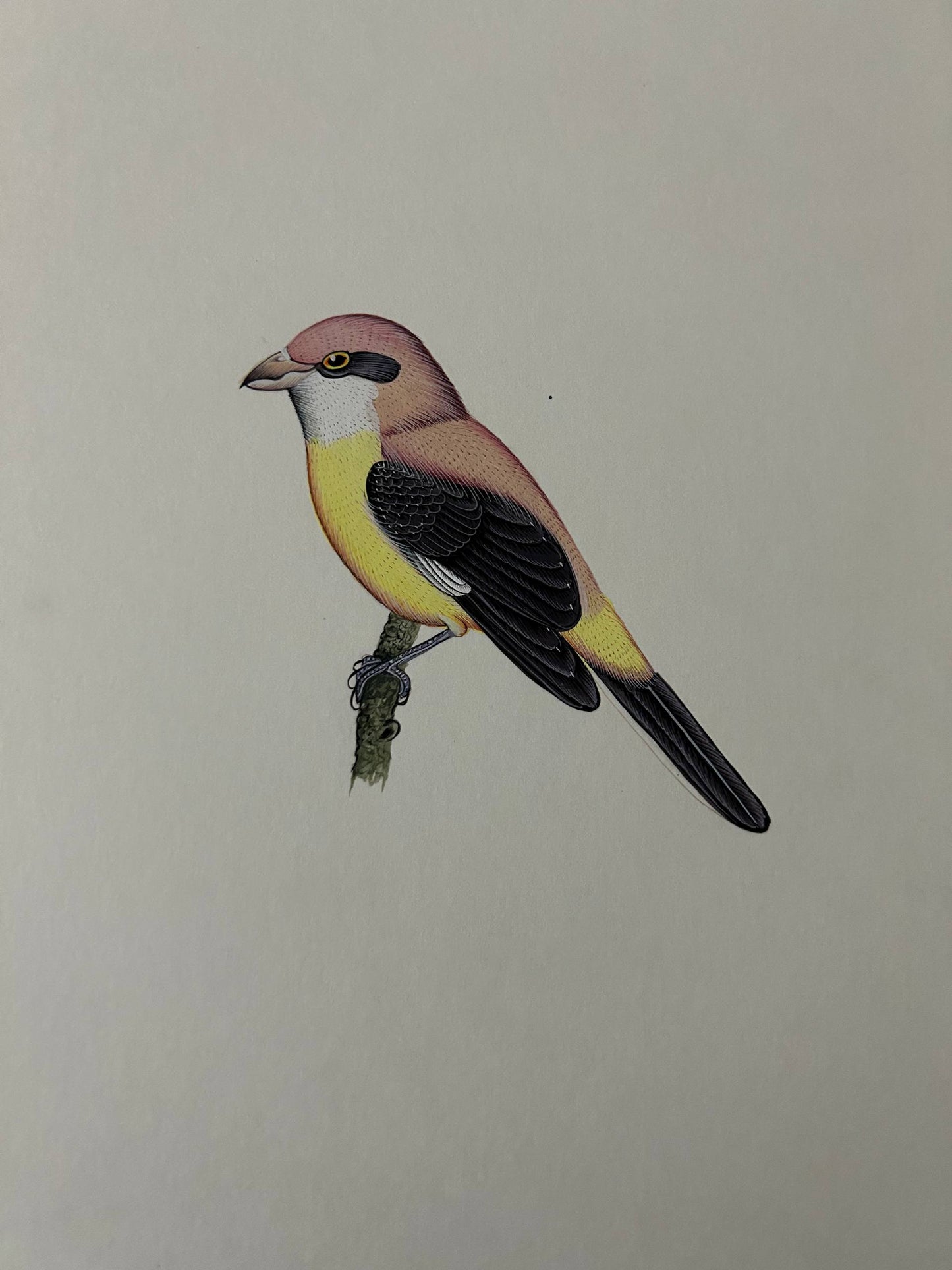 Bird painting
