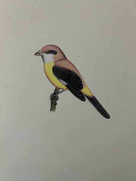 Animalpainting