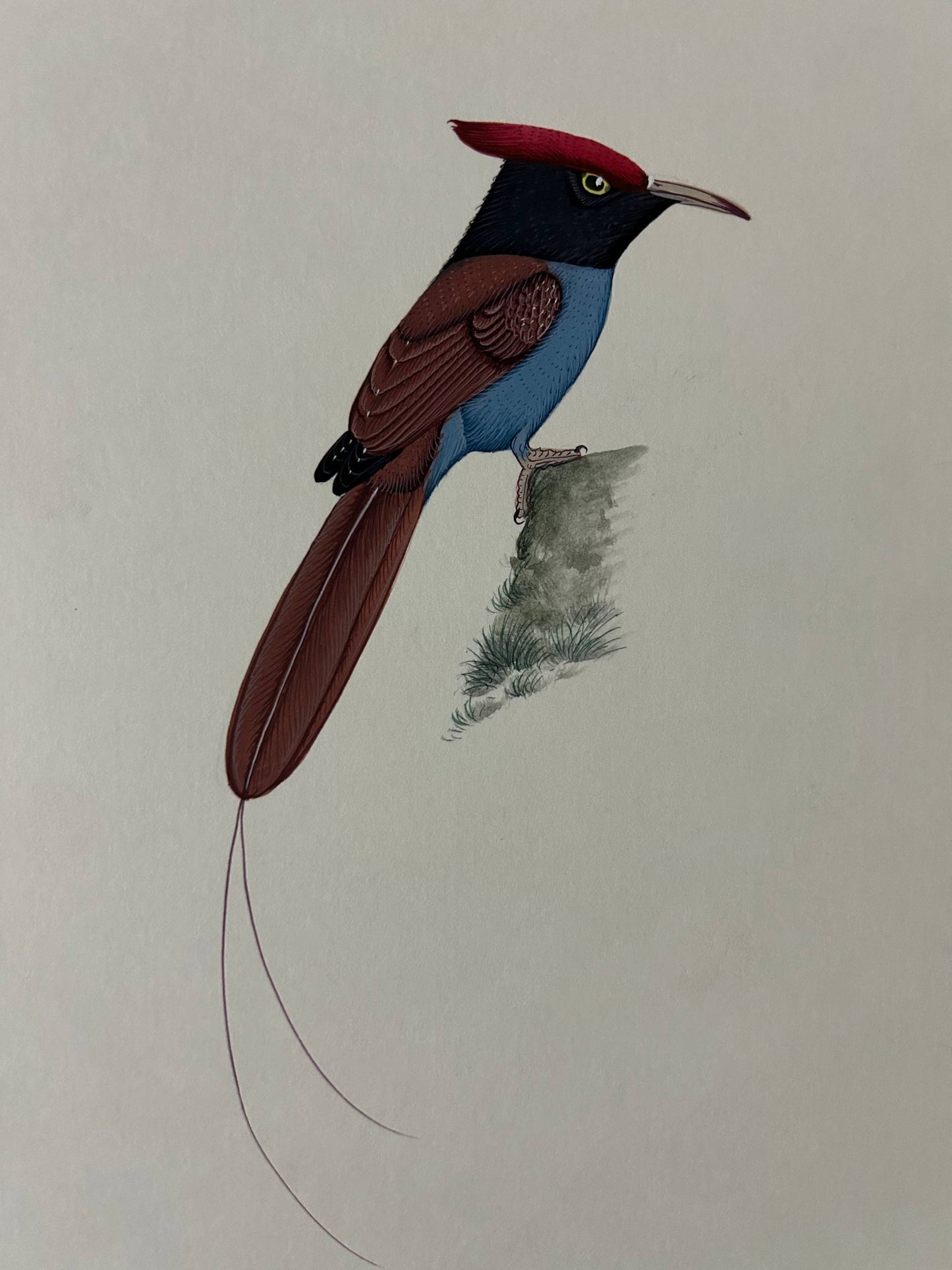 Animal painting