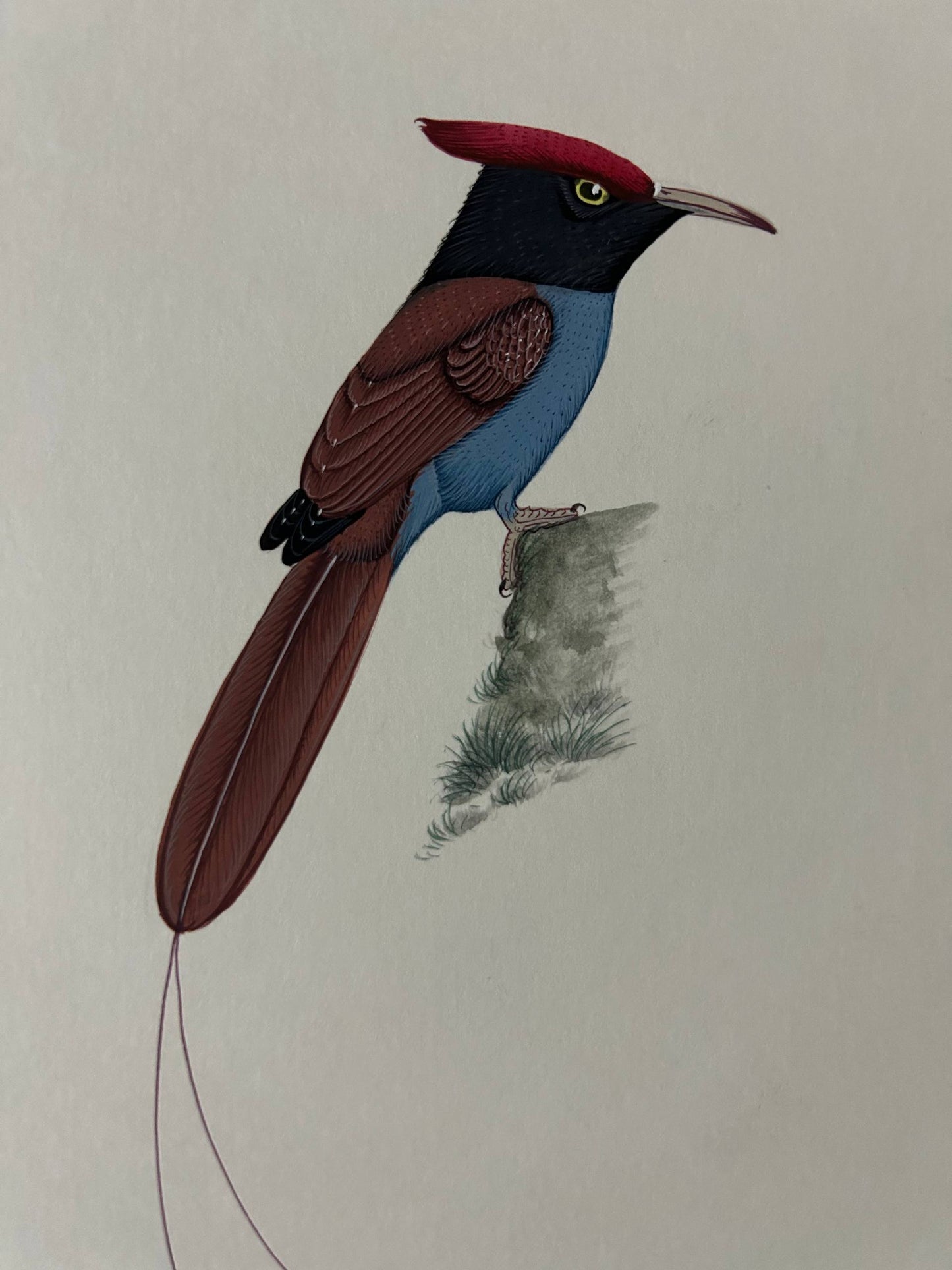 Animal painting