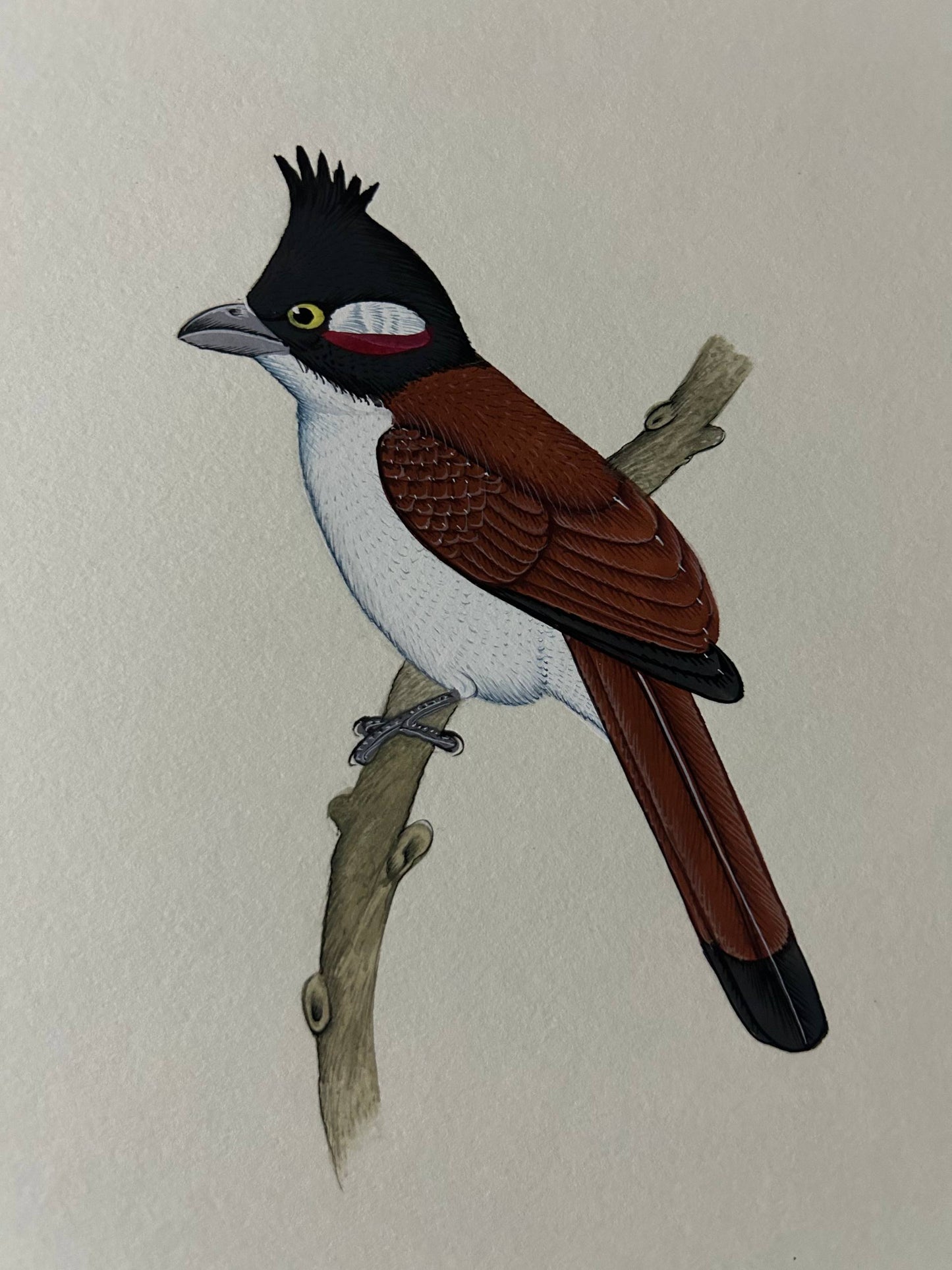 Bird  painting