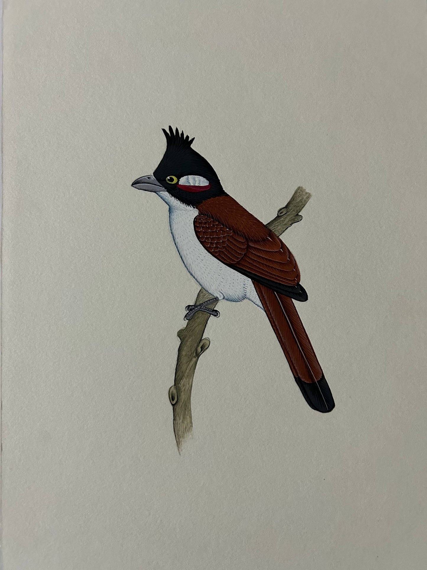 Bird  painting