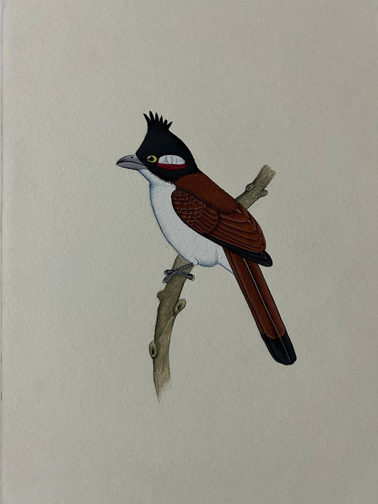Animal painting