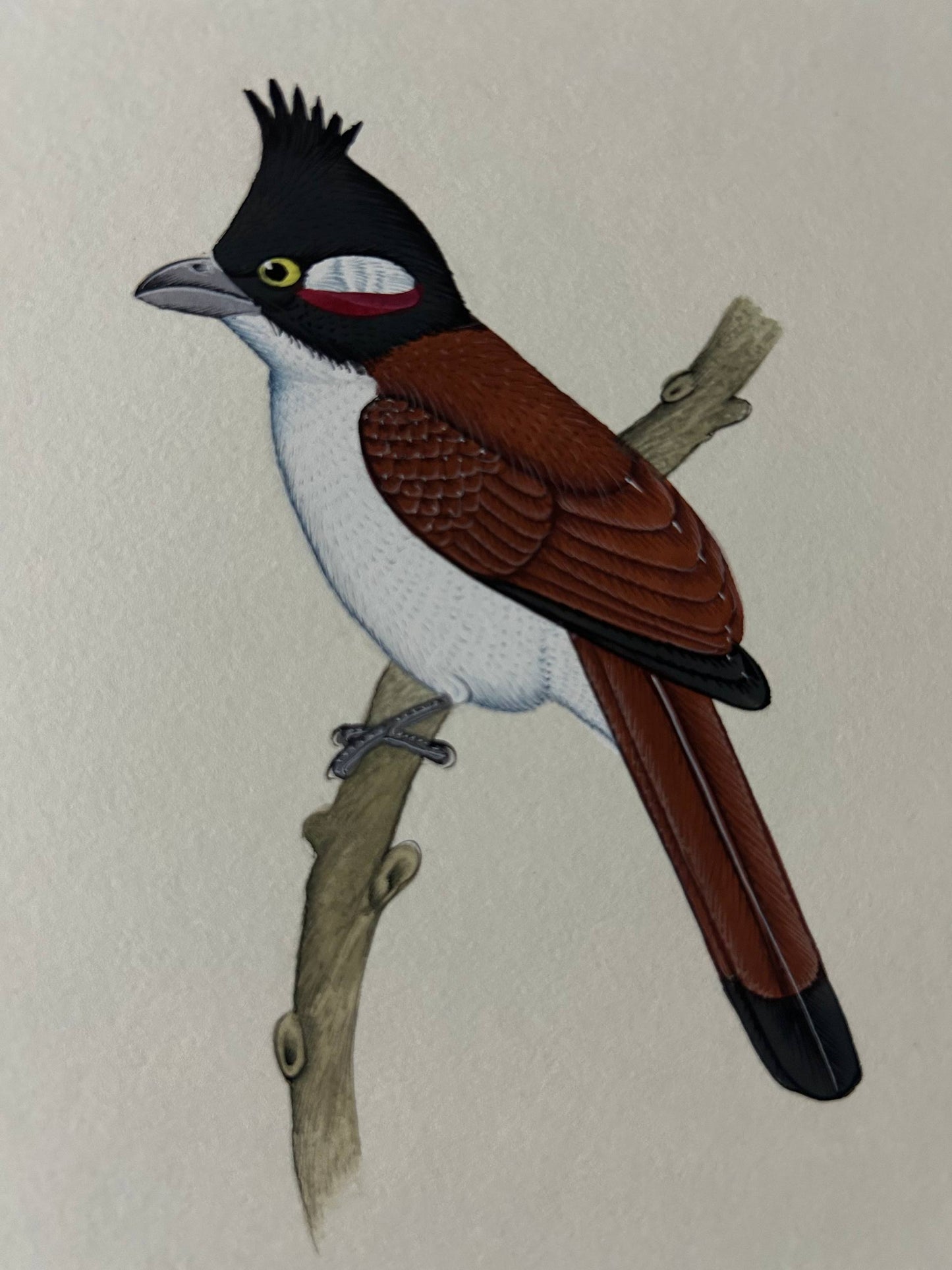 Bird  painting