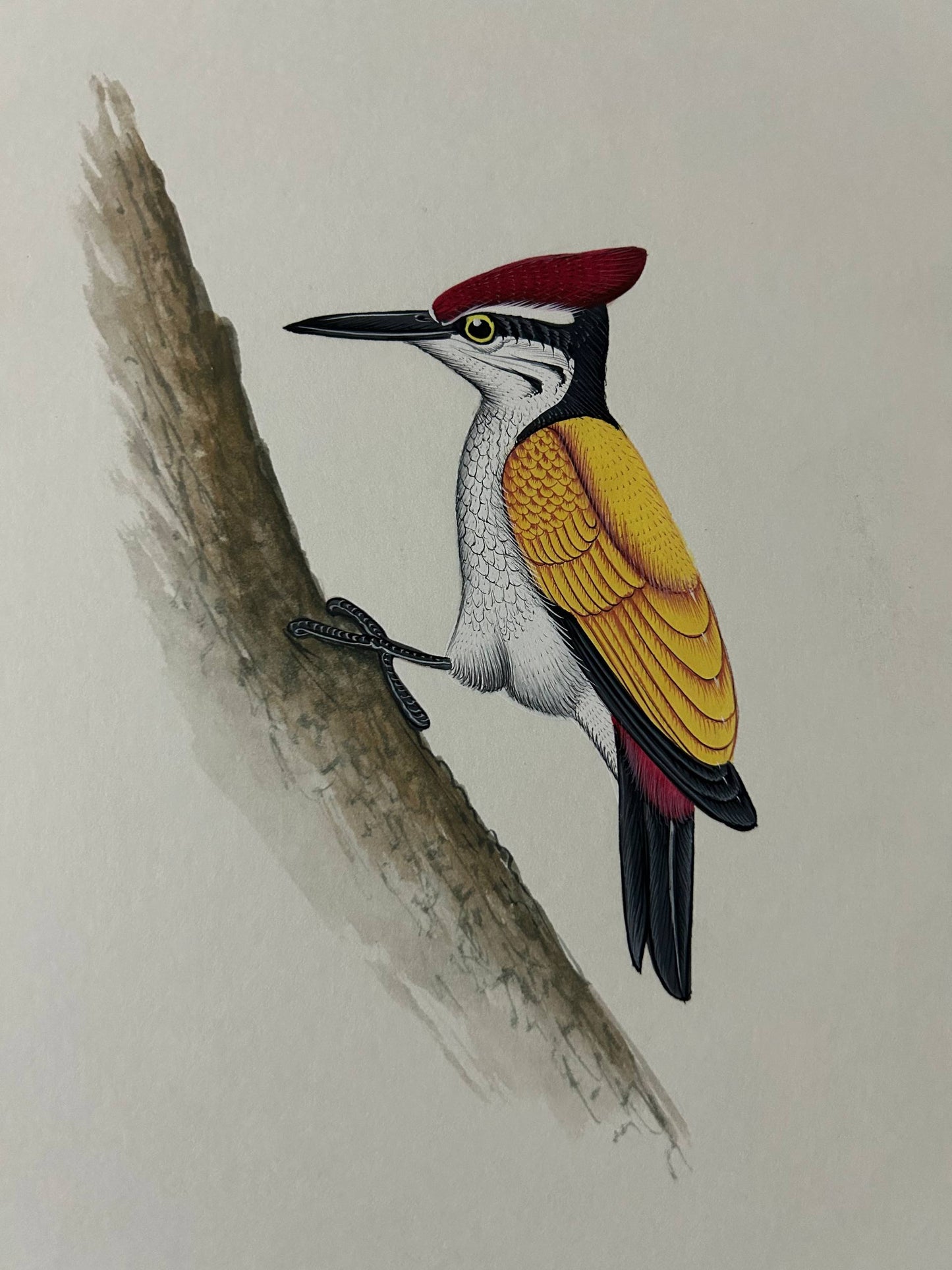 Animal painting