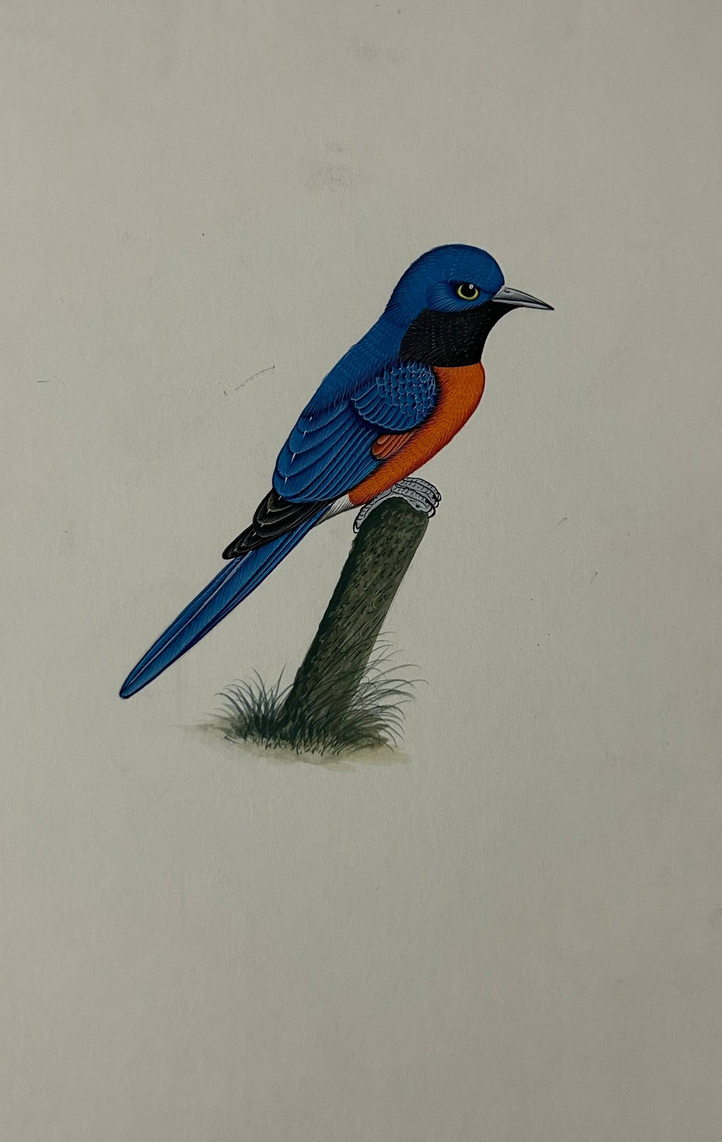 Bird painting