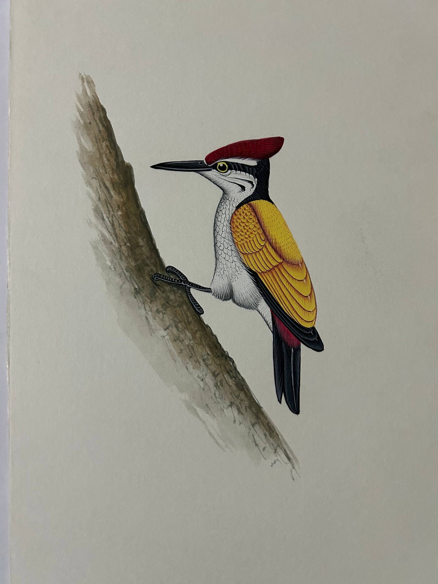 Animal painting