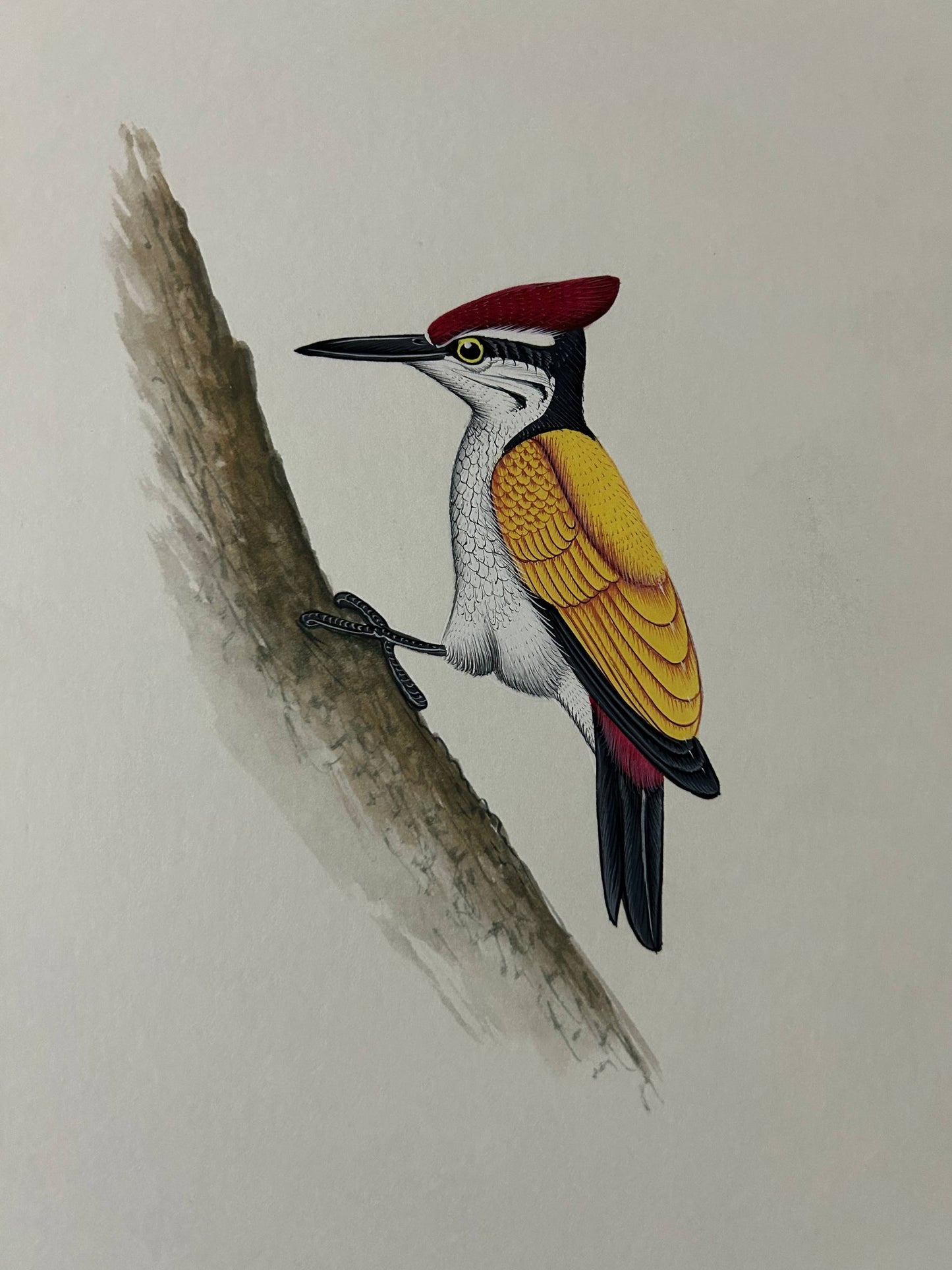 Animal painting