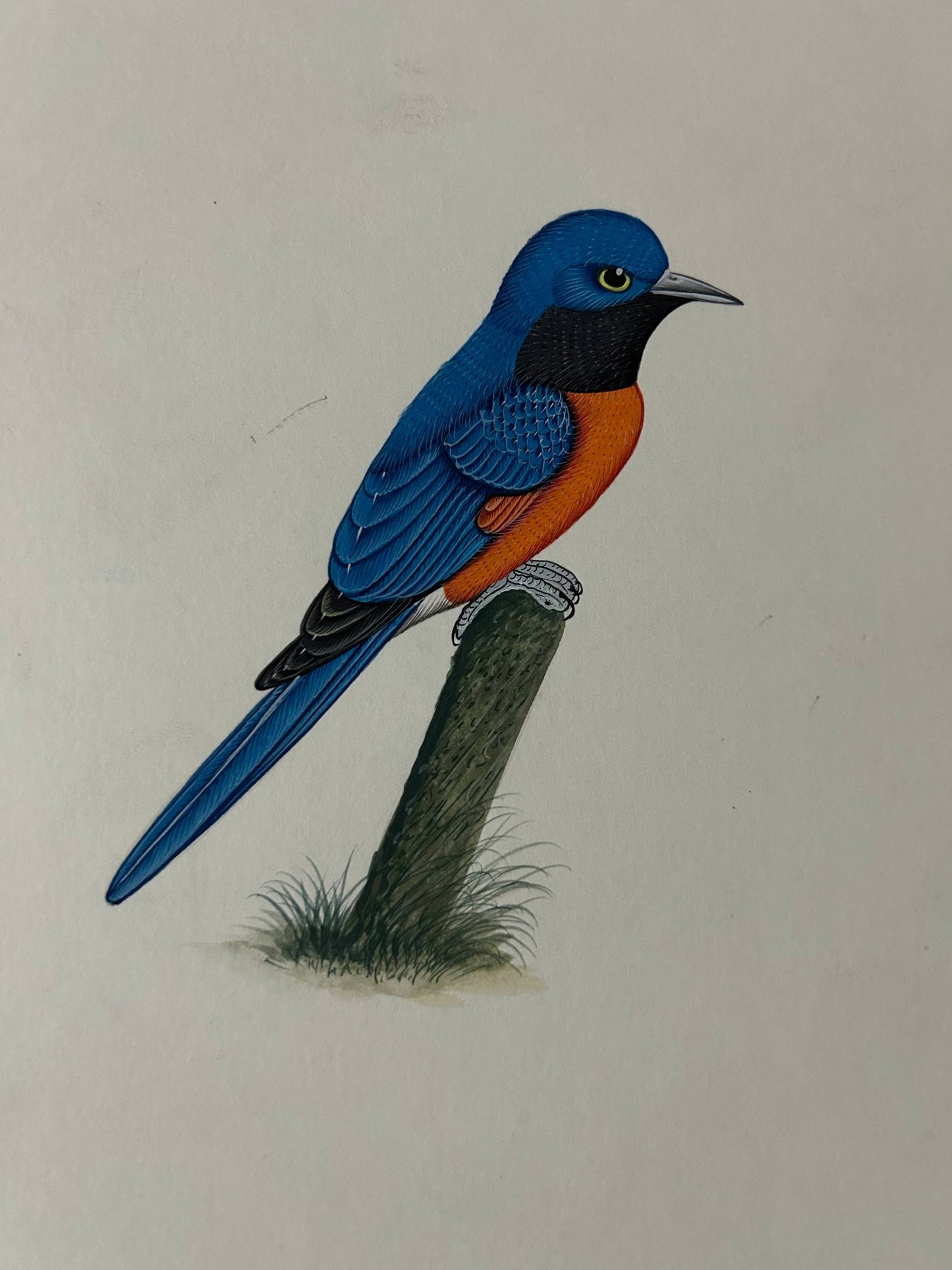 Bird painting