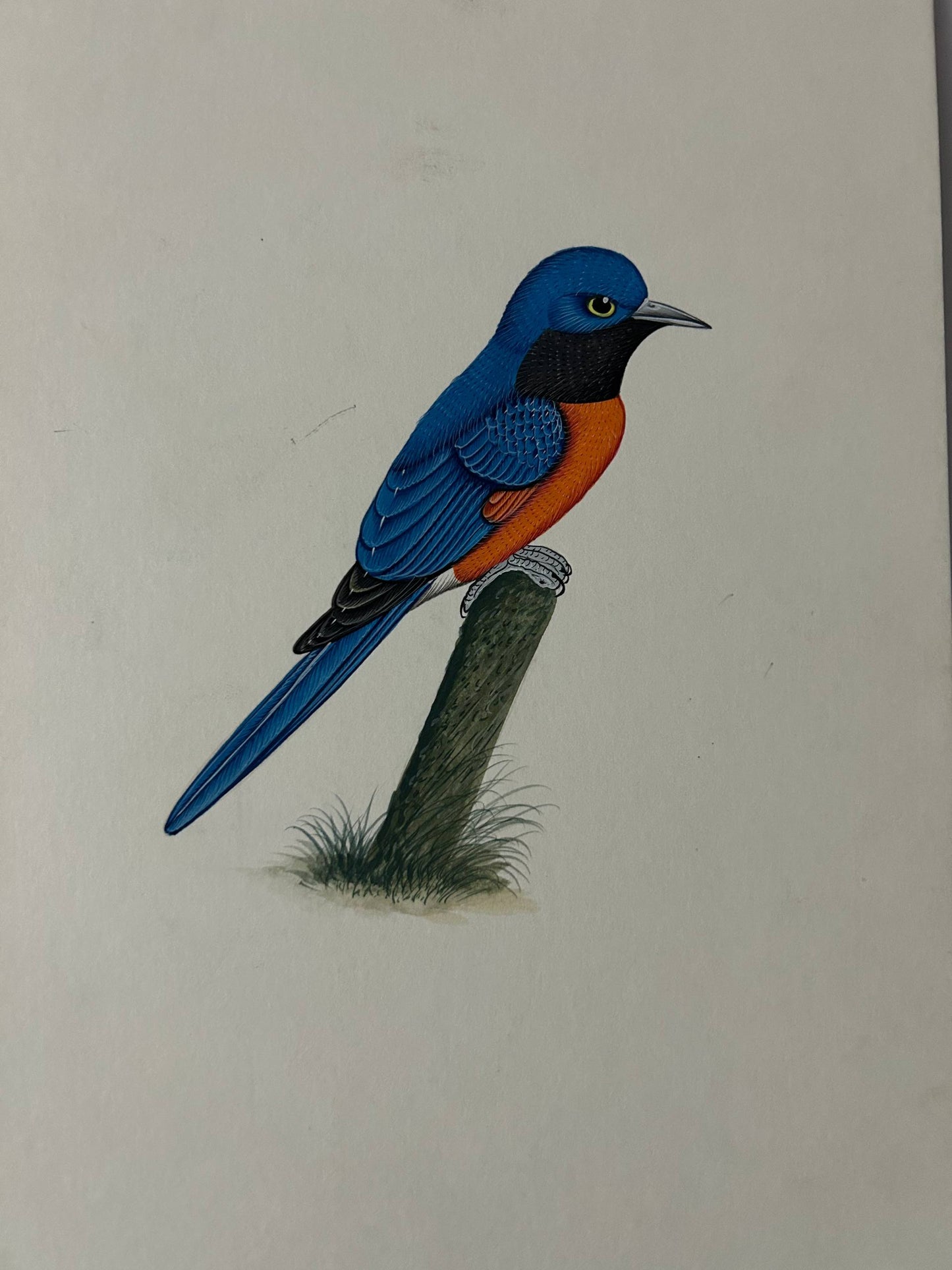 Bird painting