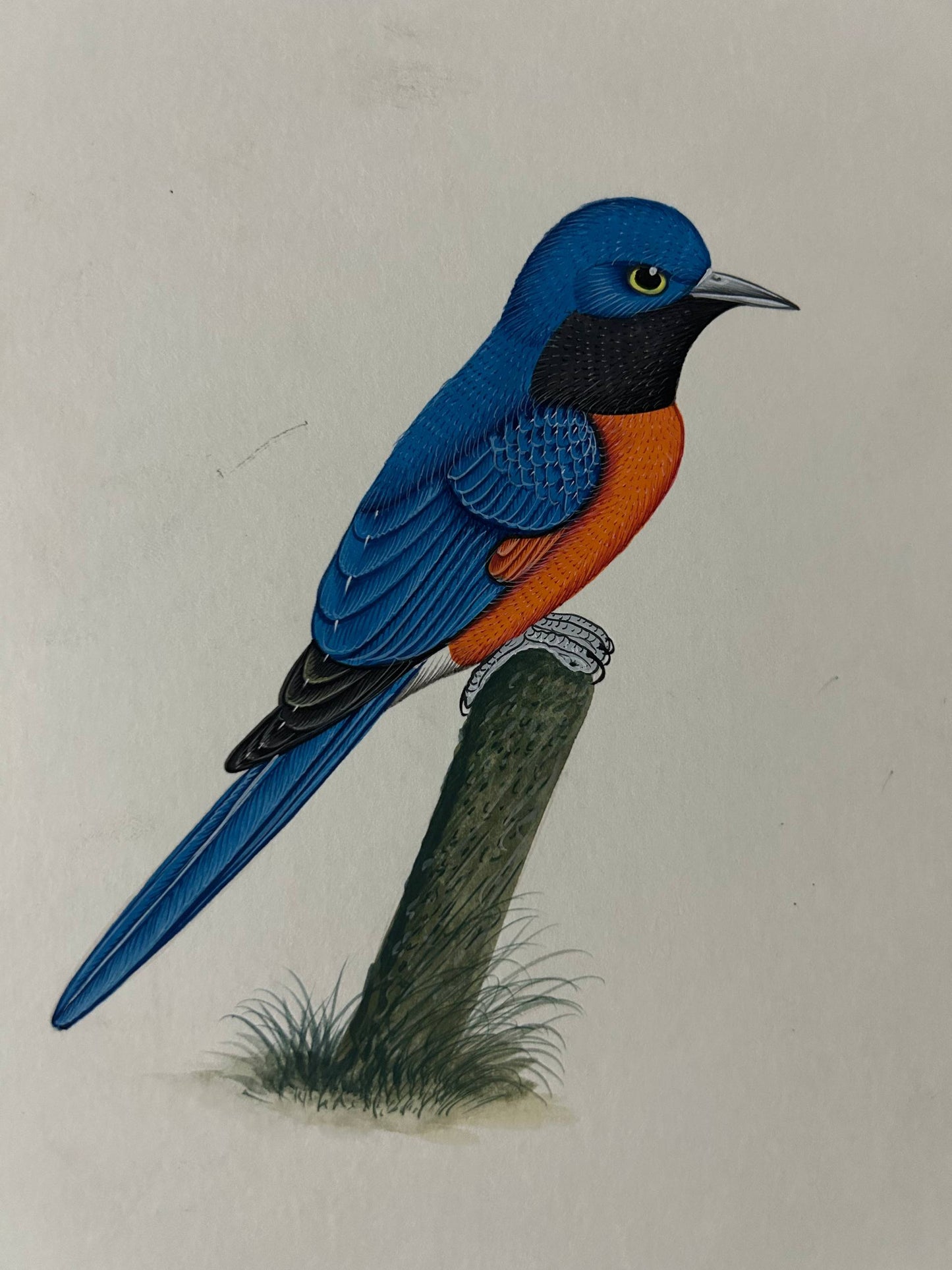 Bird painting