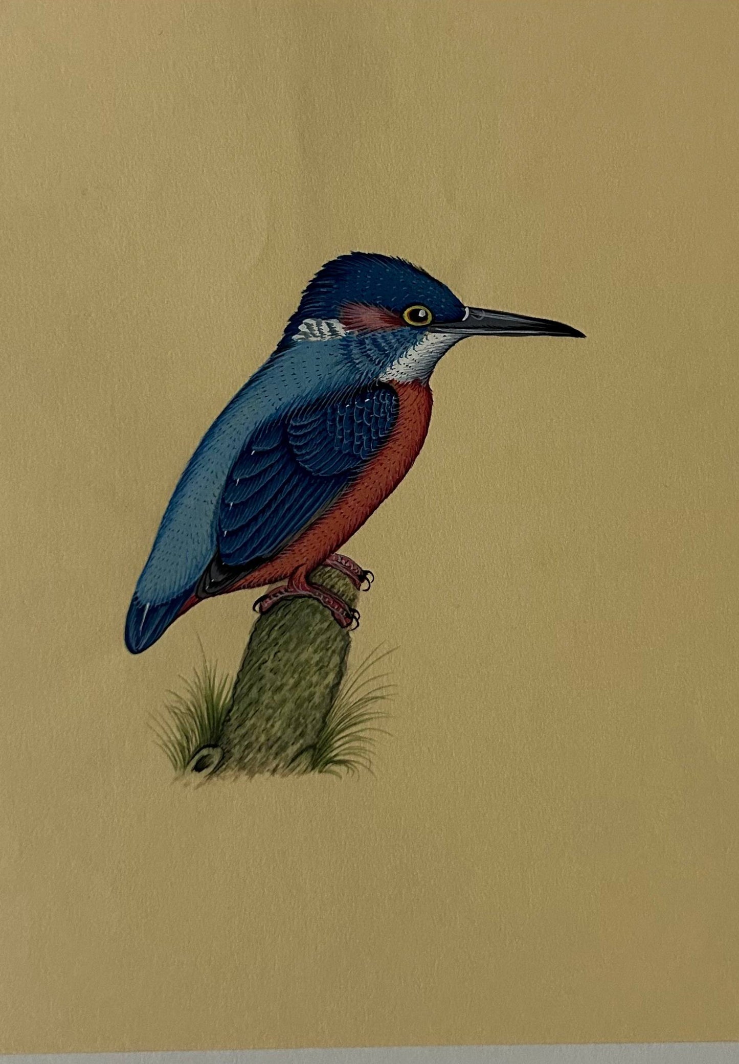 Bird painting