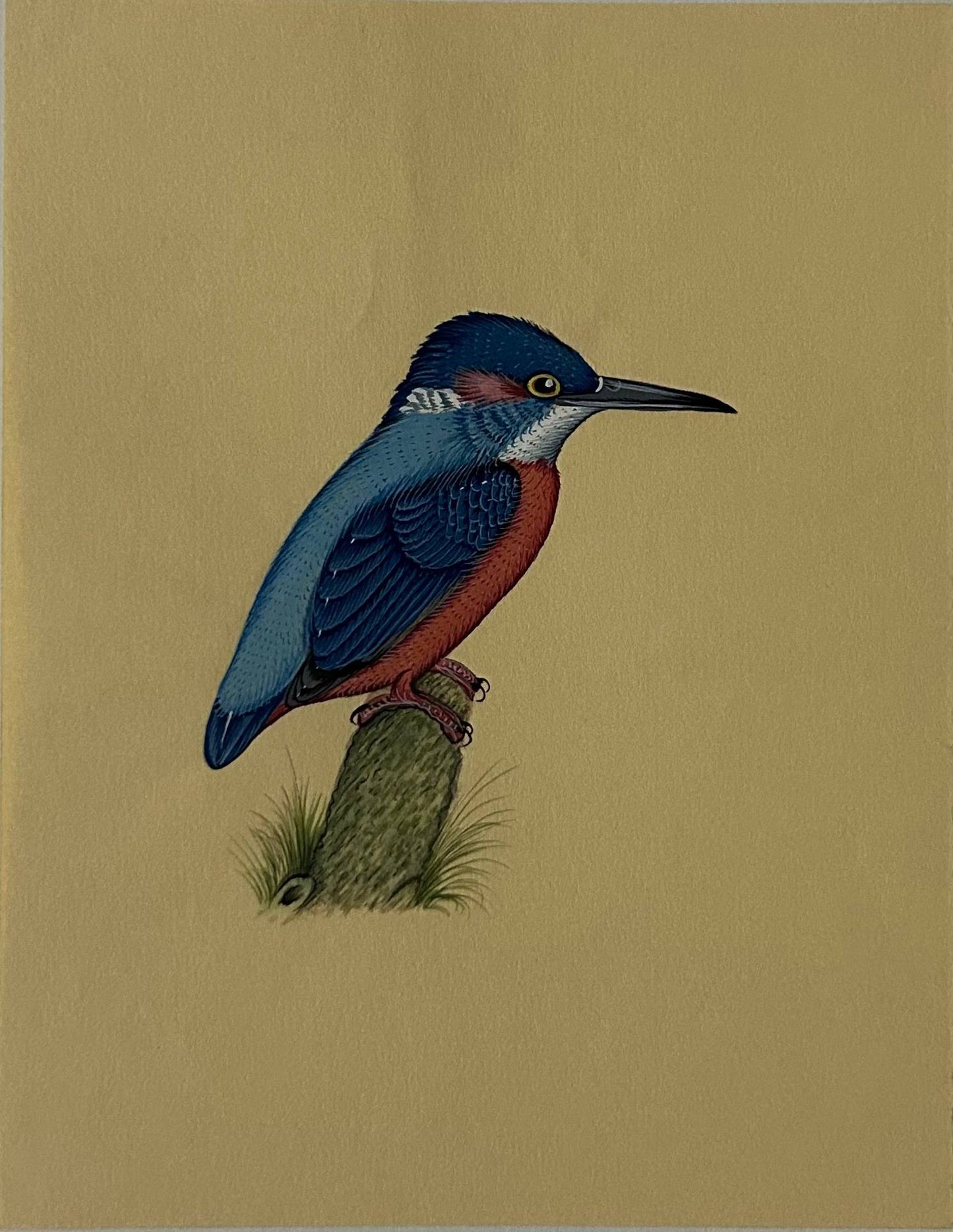 Bird painting