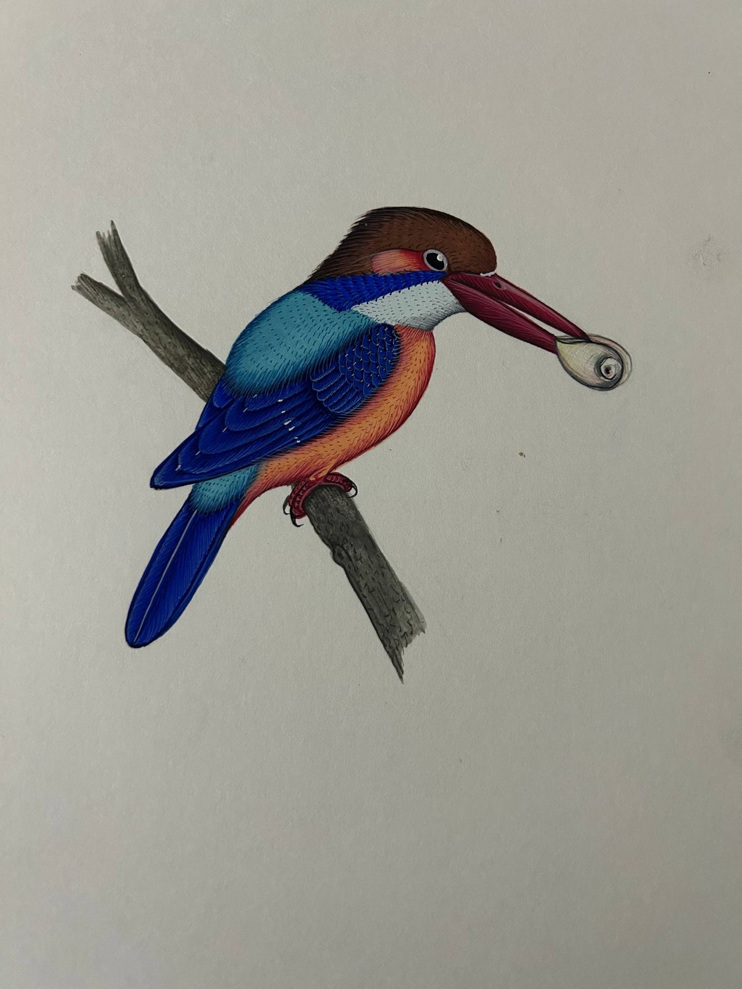 Animal painting