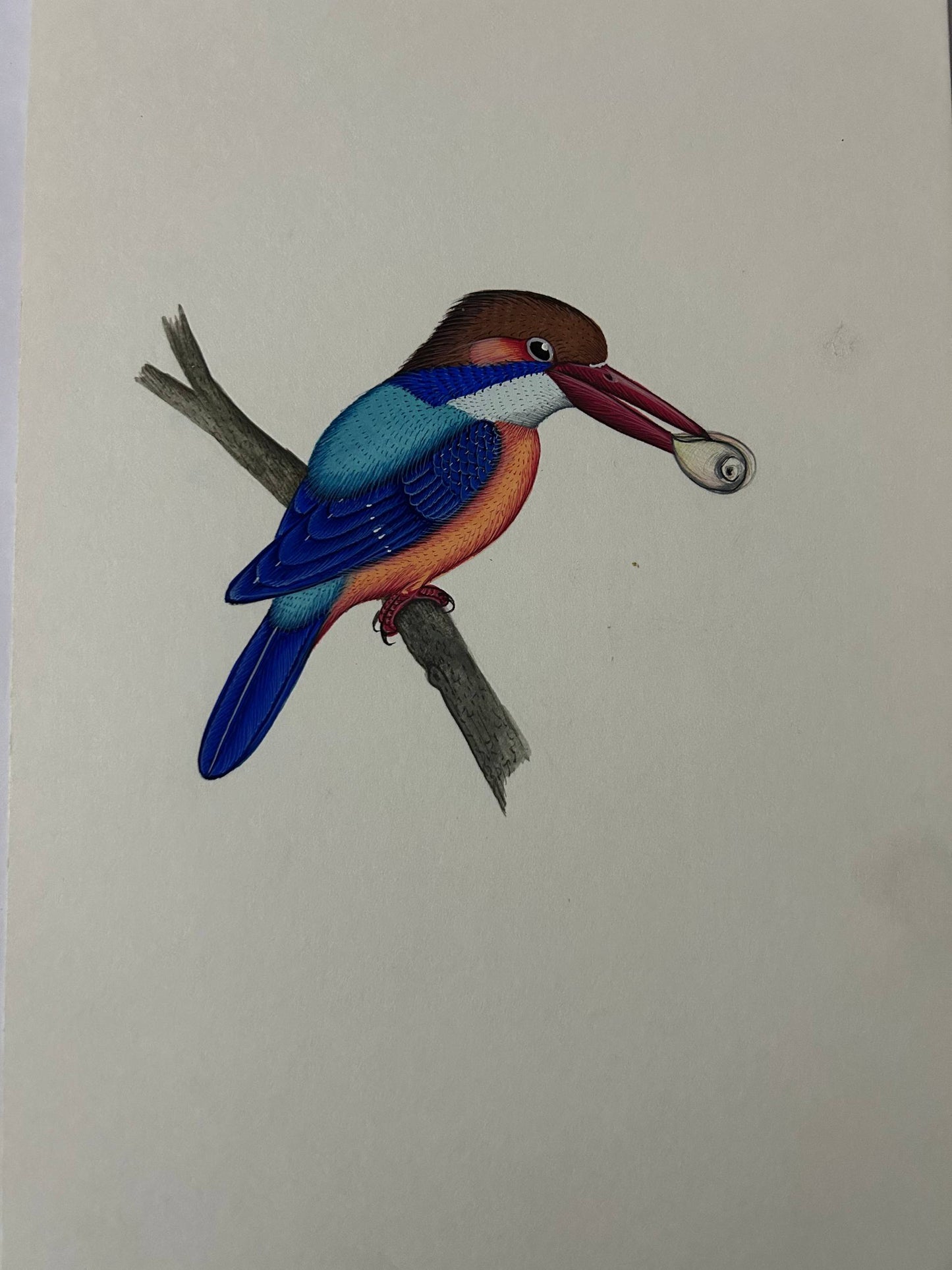 Animal painting
