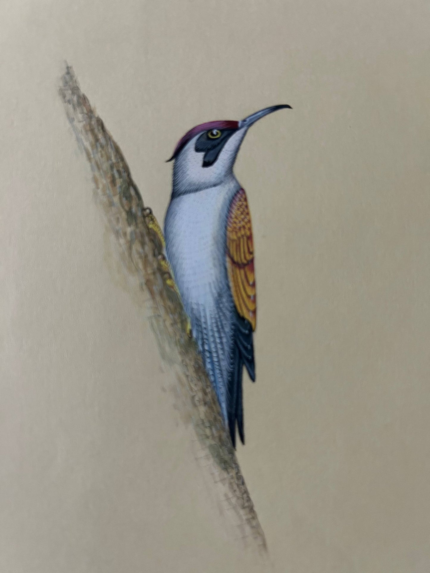 Bird painting