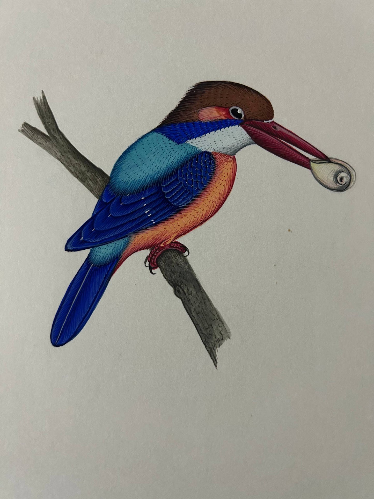 Animal painting