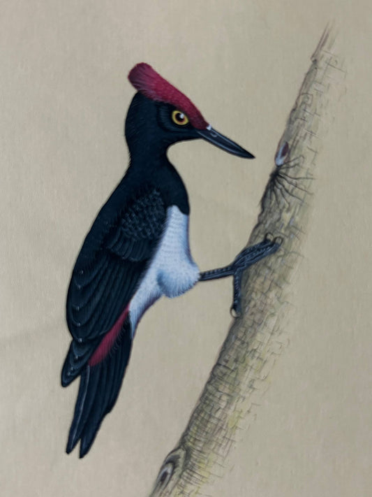 Animal painting