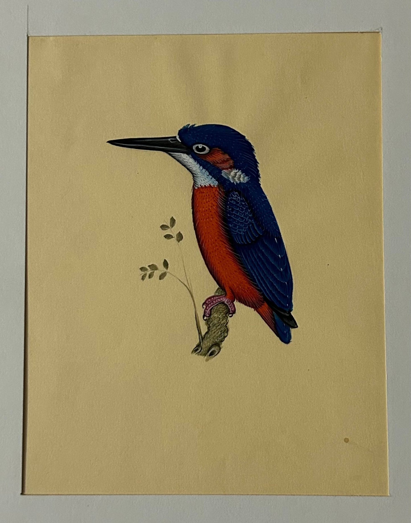Animal painting