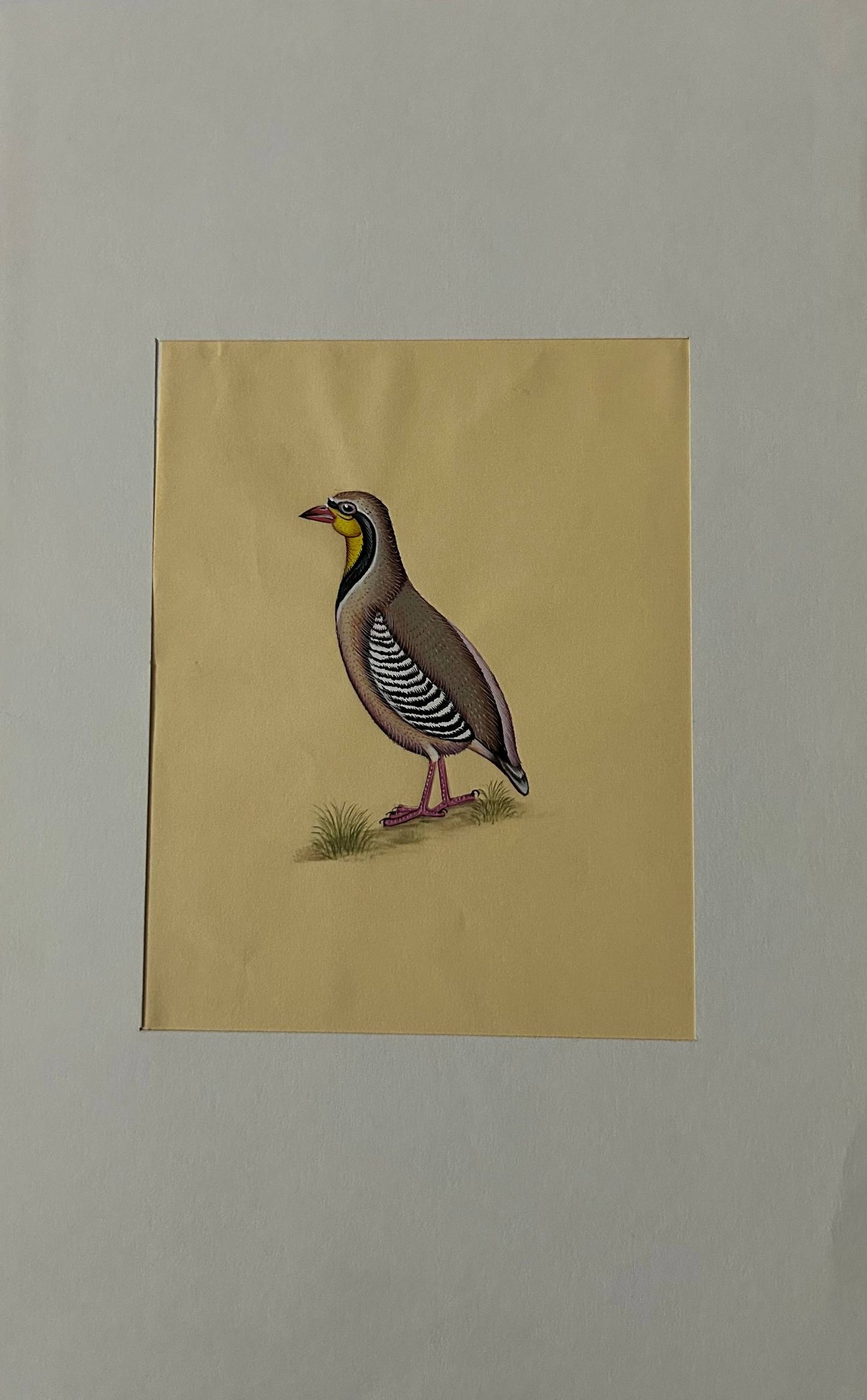 Animal painting