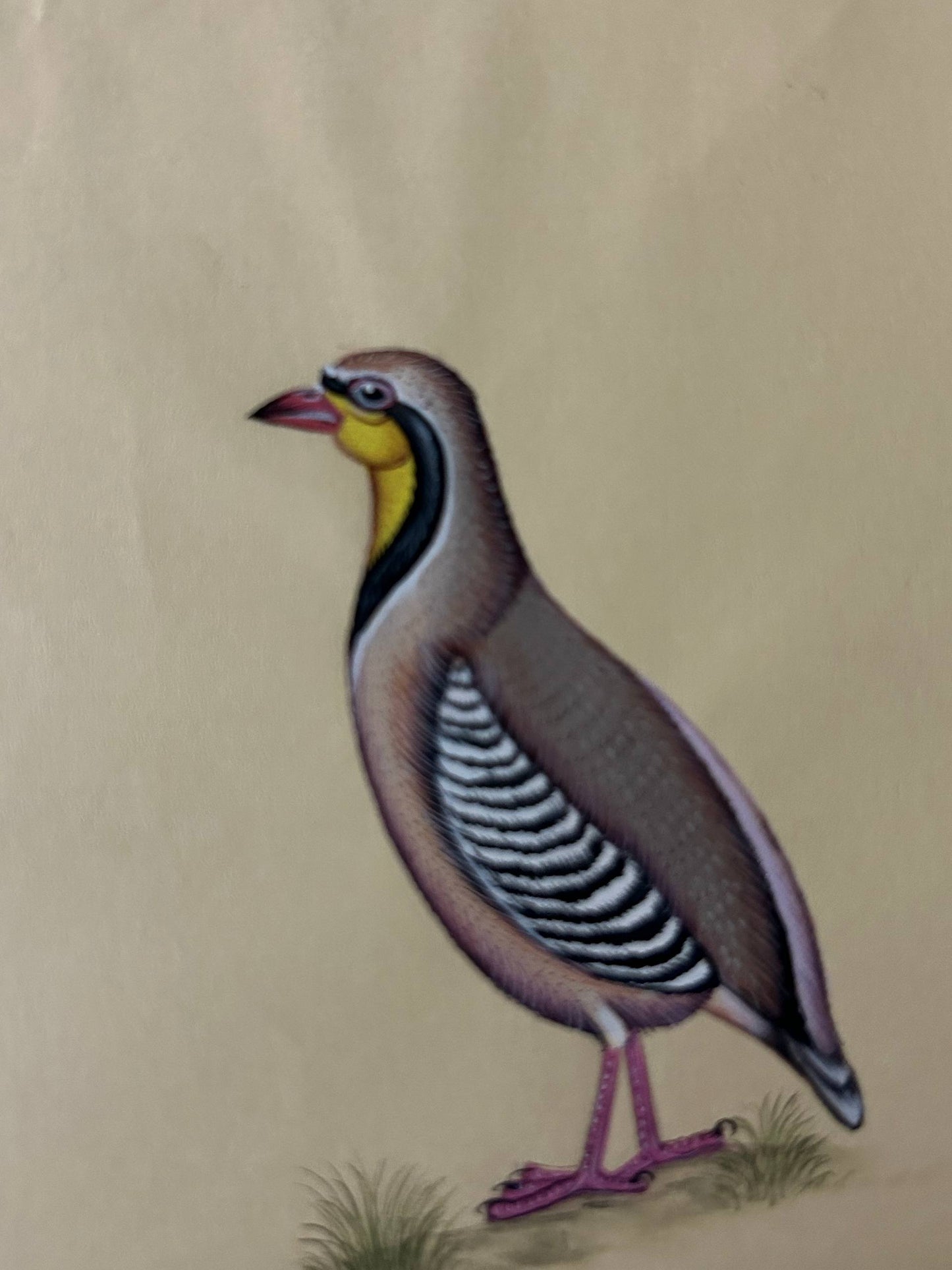 Animal painting