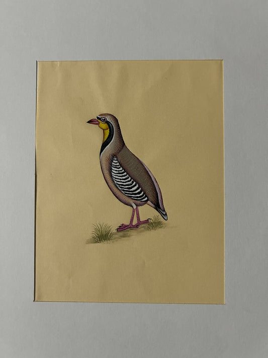 Animal painting