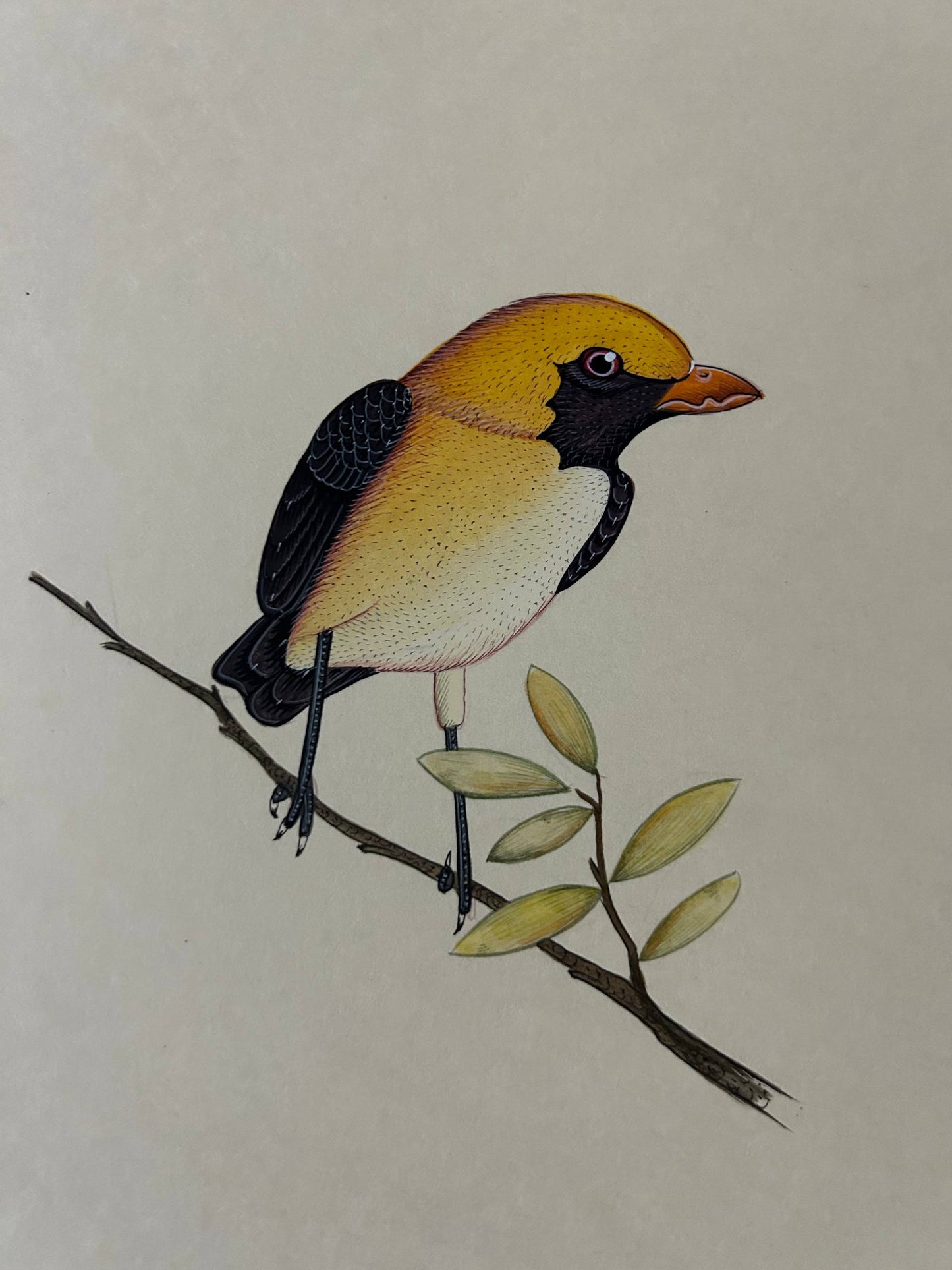 Animal painting