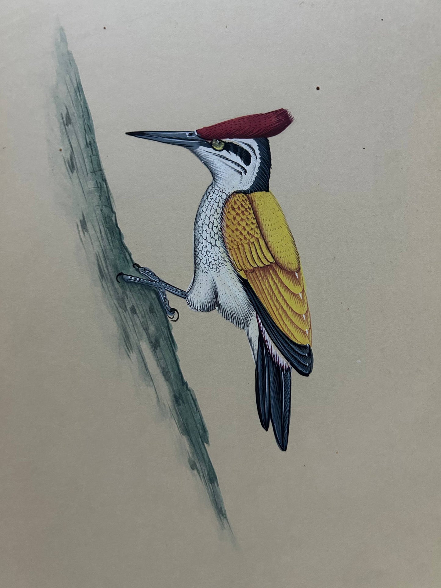 Animal painting