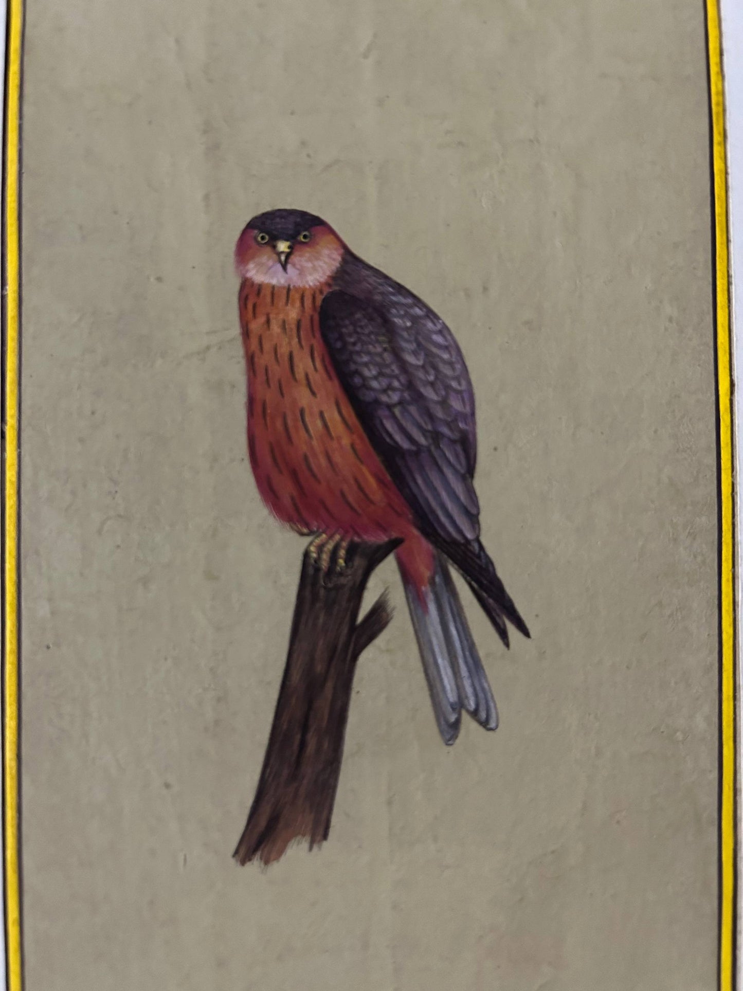 Bird painting