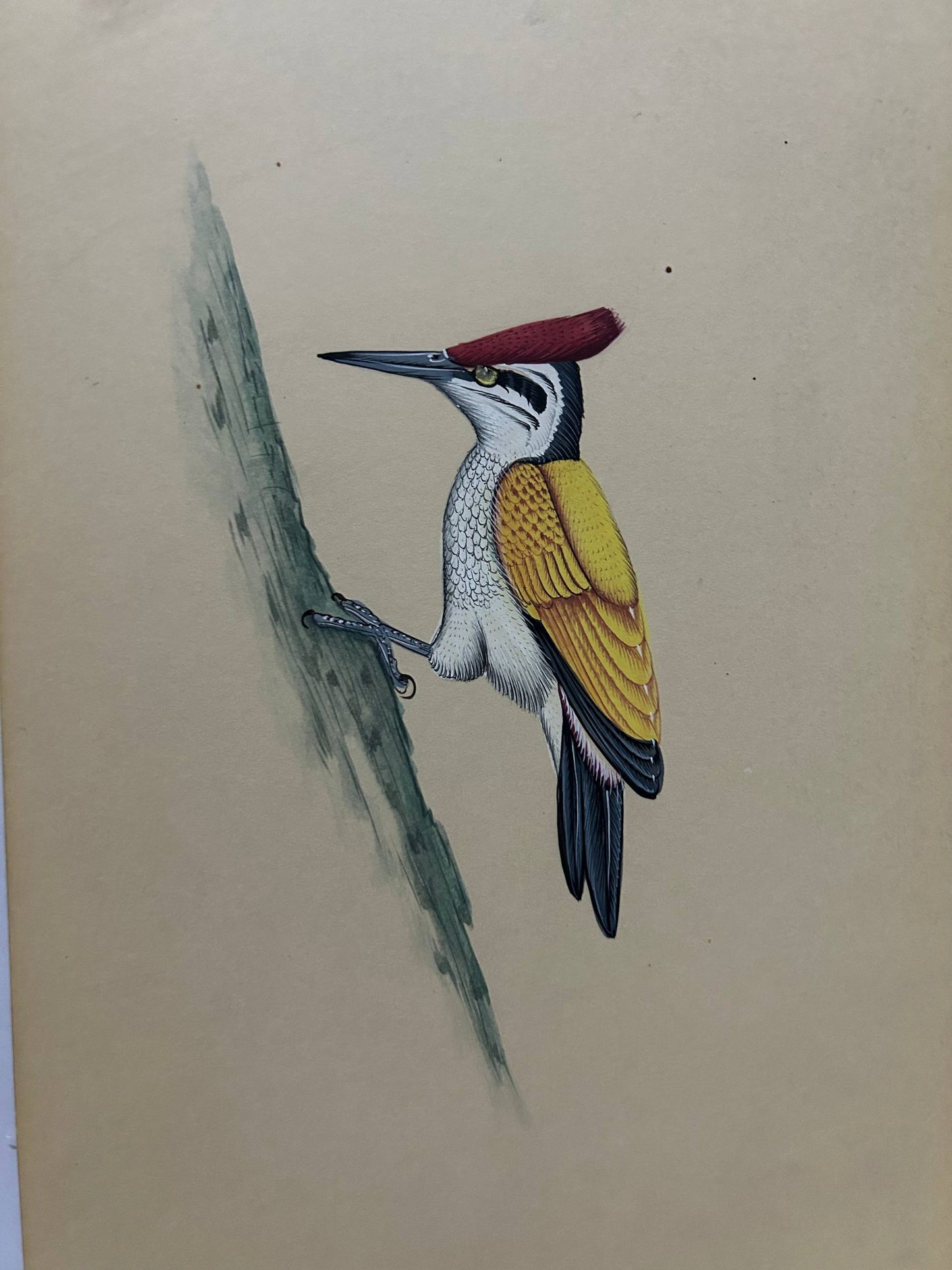 Animal painting